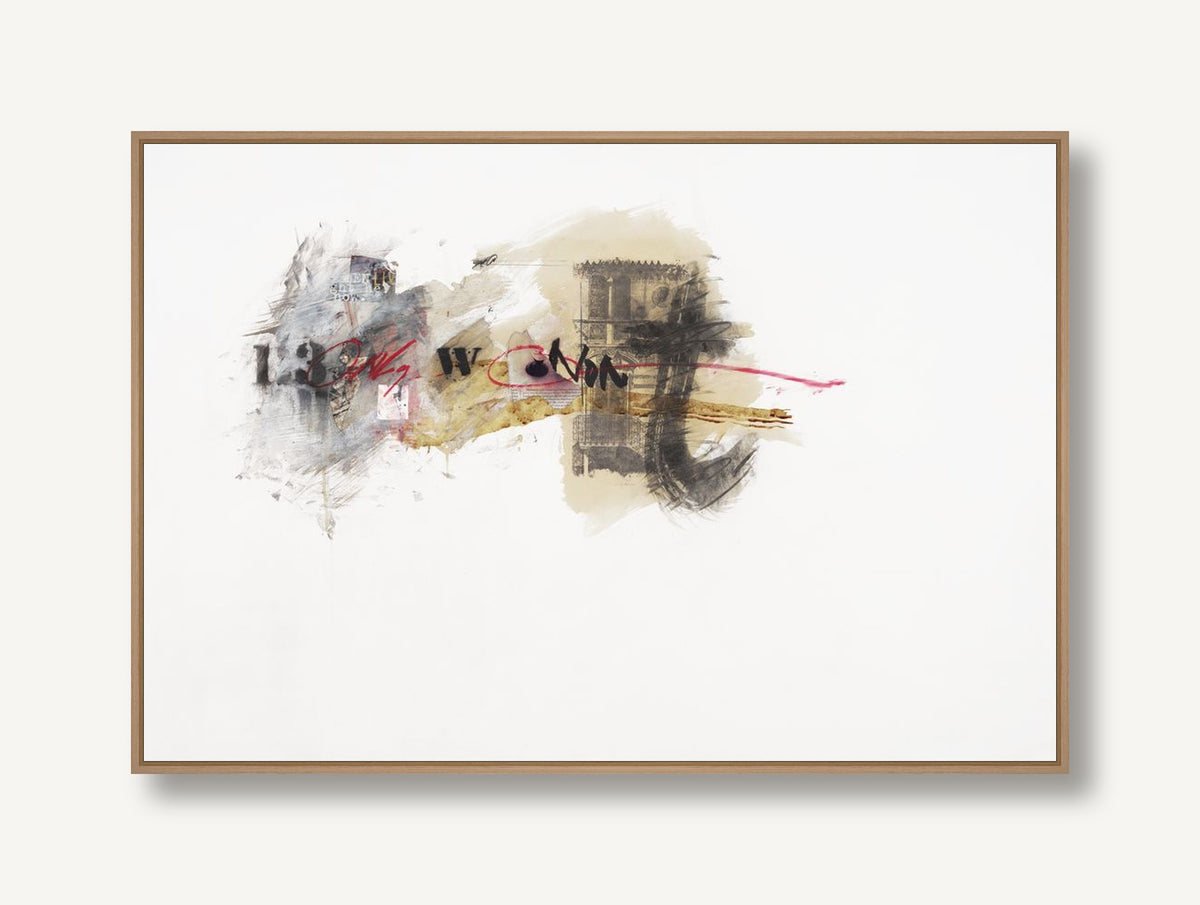 Agglomeration 1 framed