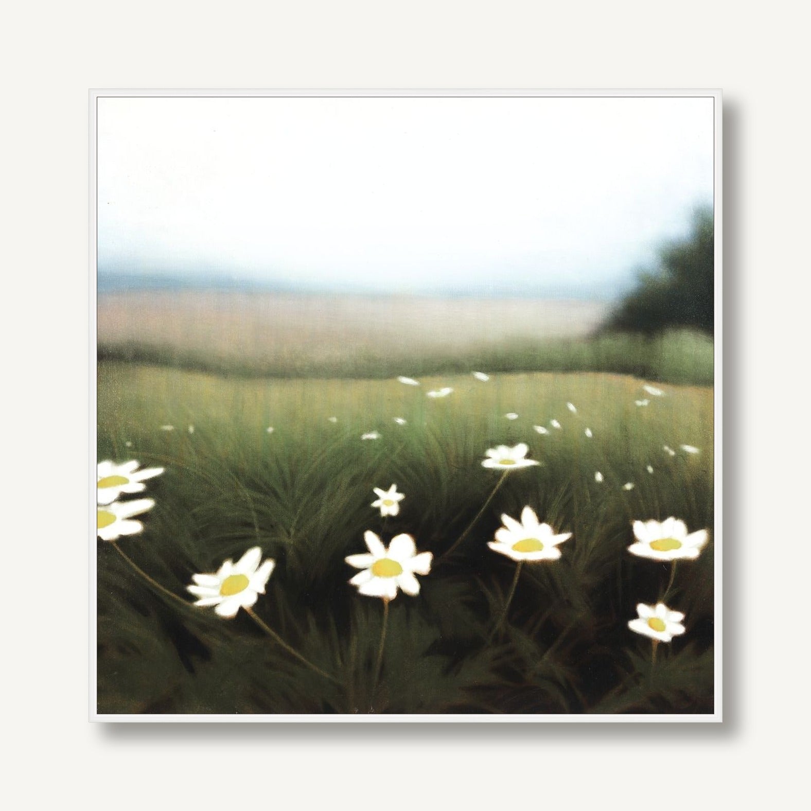 Wild Daisies 1 framed