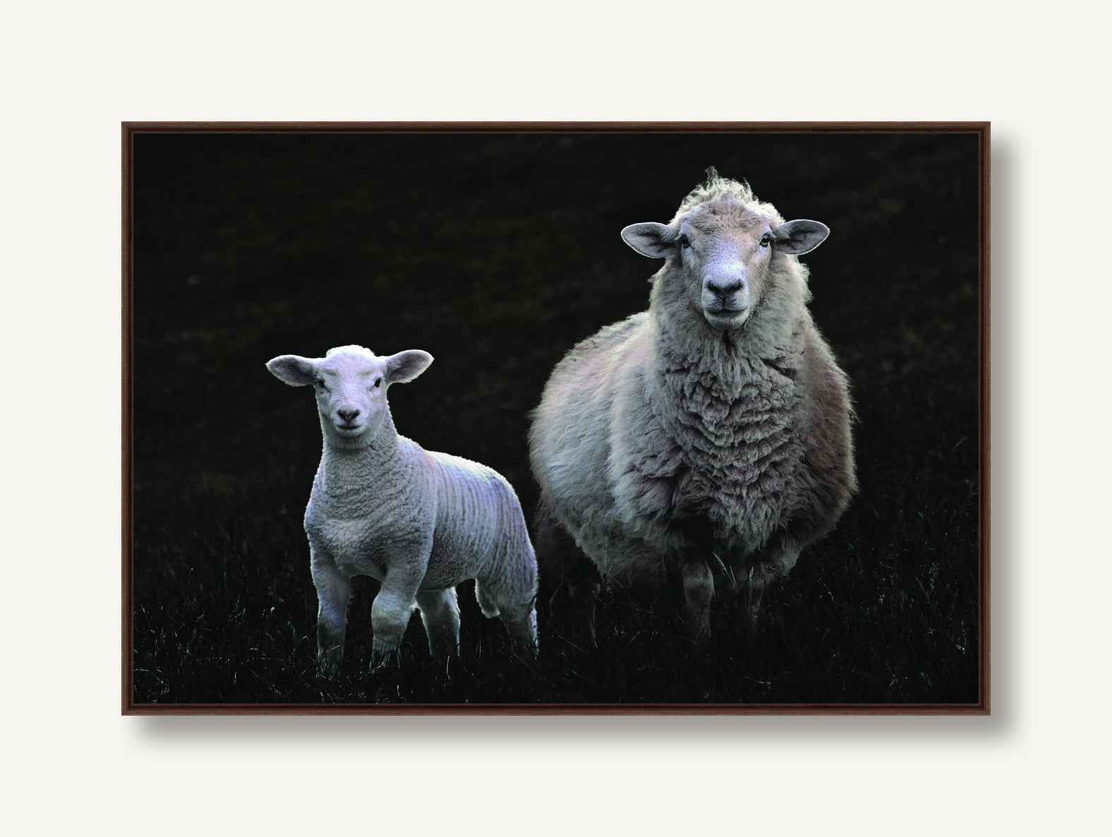 Counting Sheep 1 framed