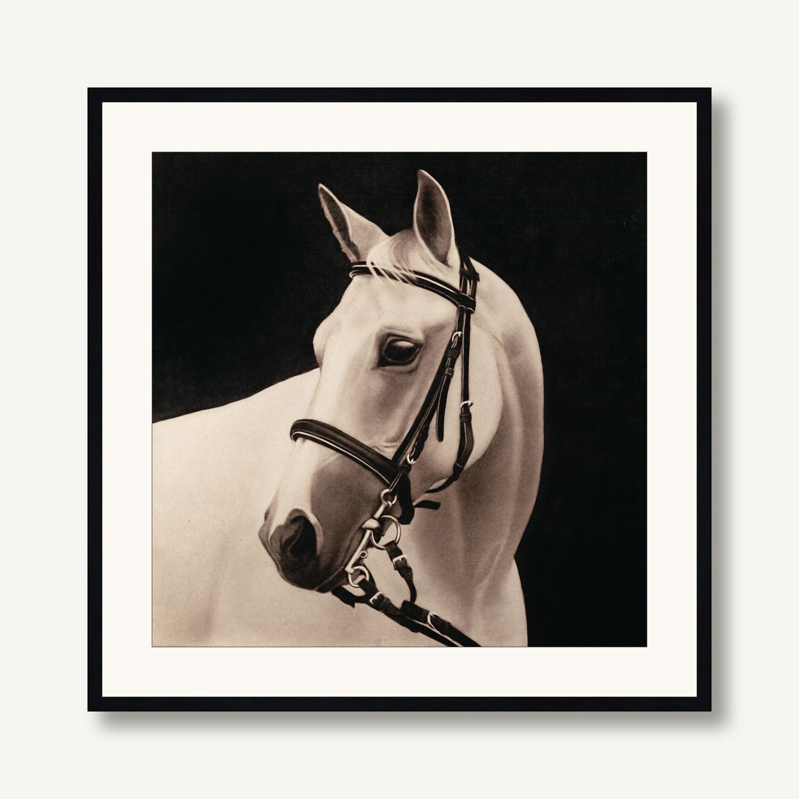 Comrade 1 framed