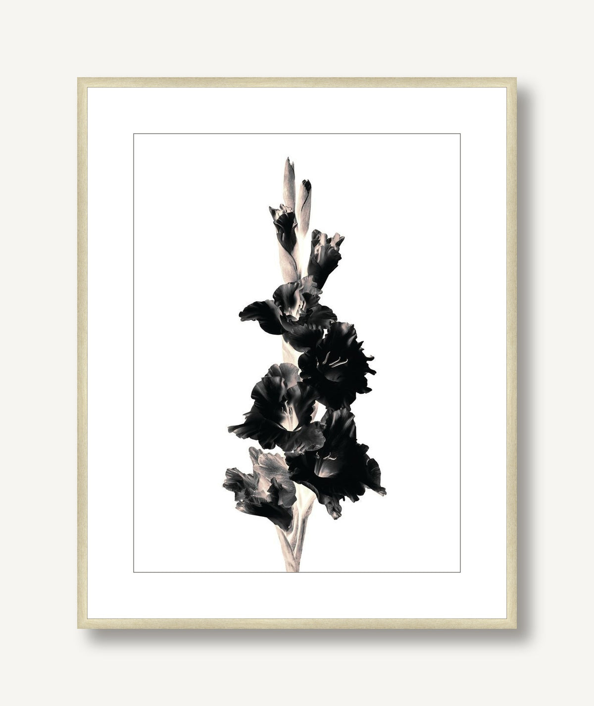 Flora Noir 1 framed