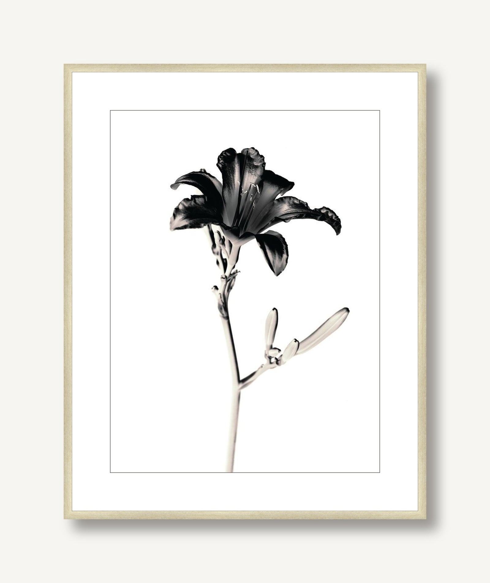 Flora Noir 2 framed
