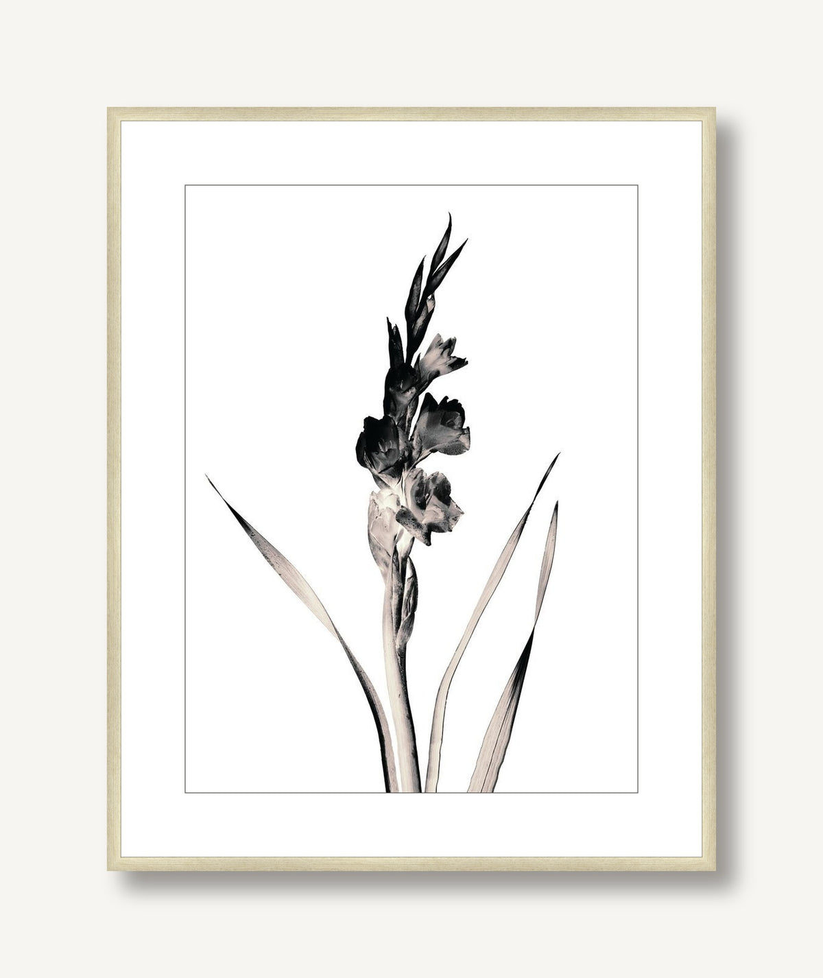 Flora Noir 3 framed