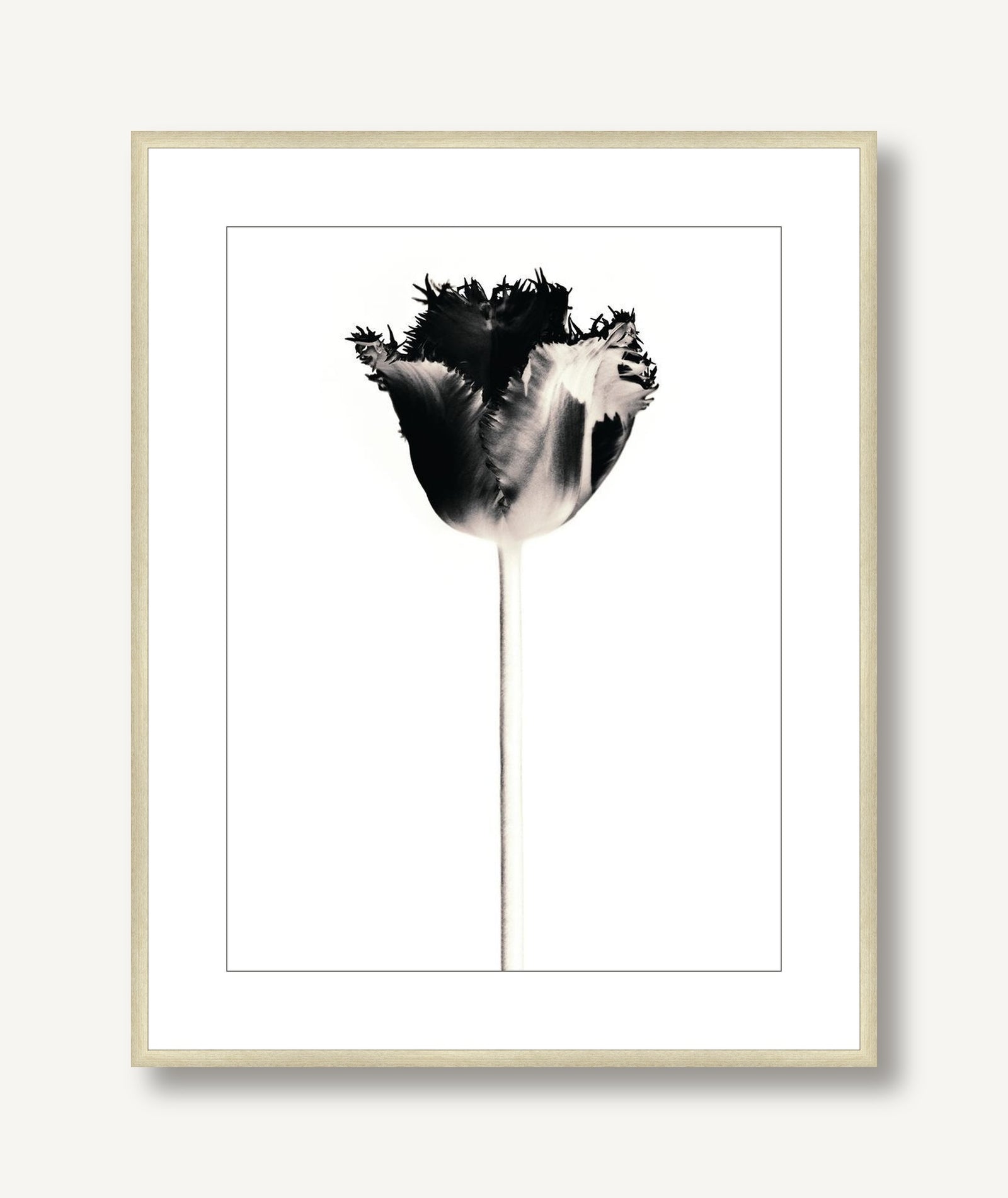 Flora Noir 5 framed