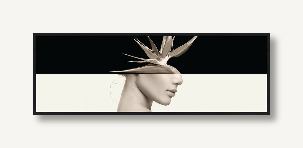 Headdress 3 framed