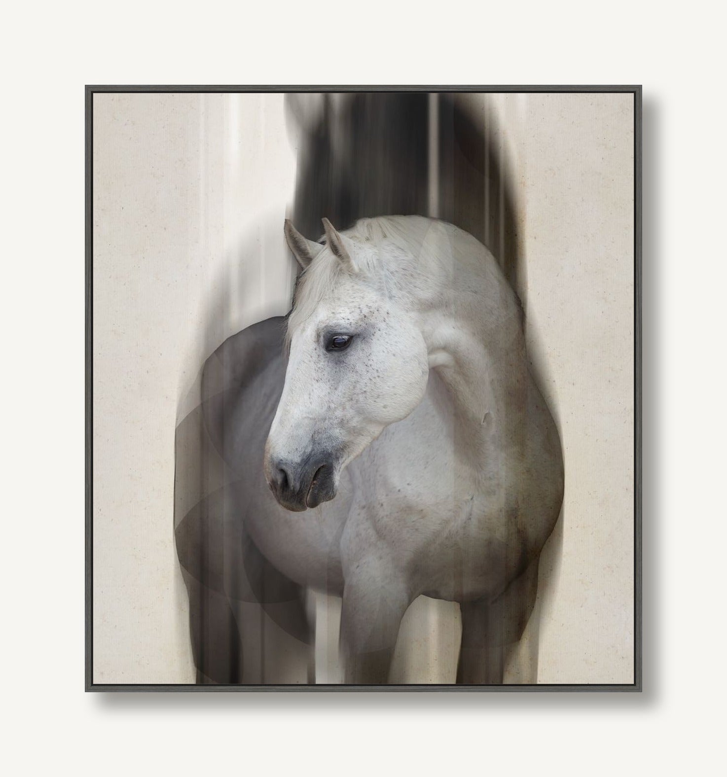 Lady Gray 1 framed