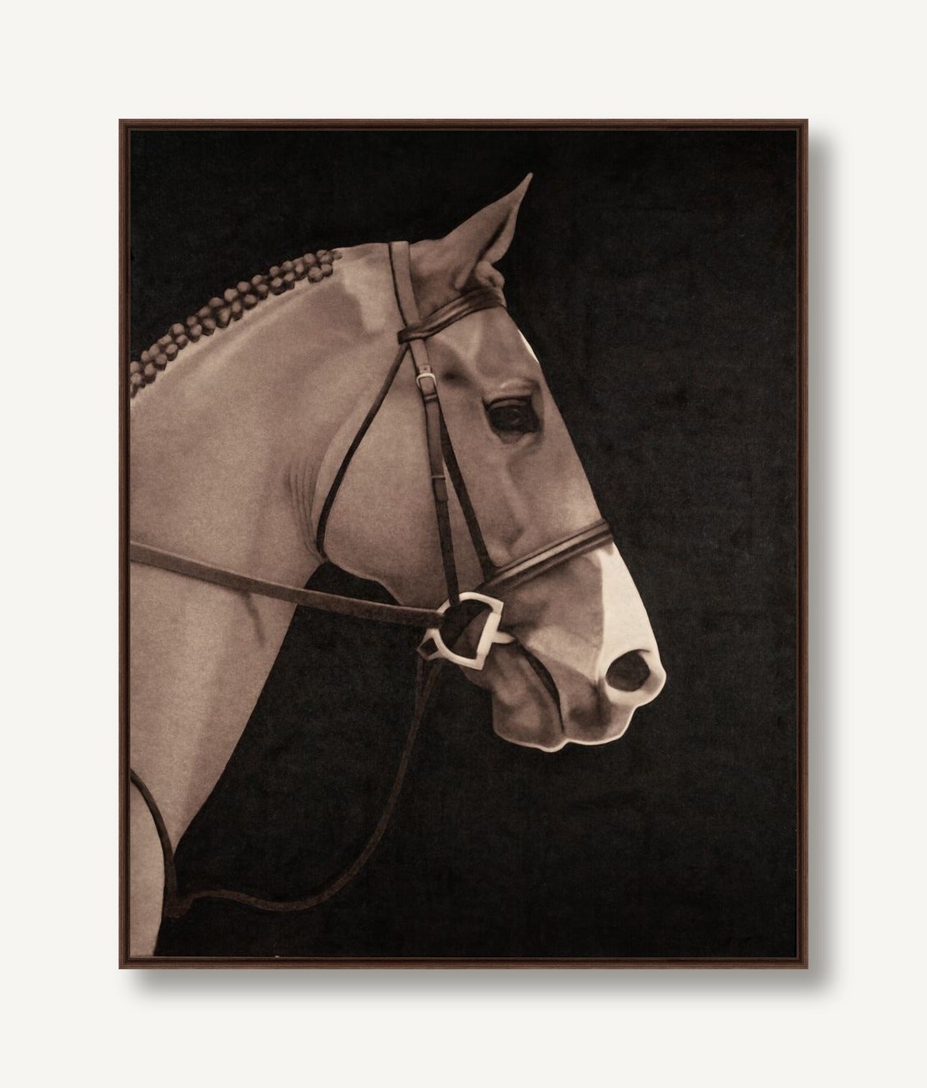 Mustang Muse 1 framed