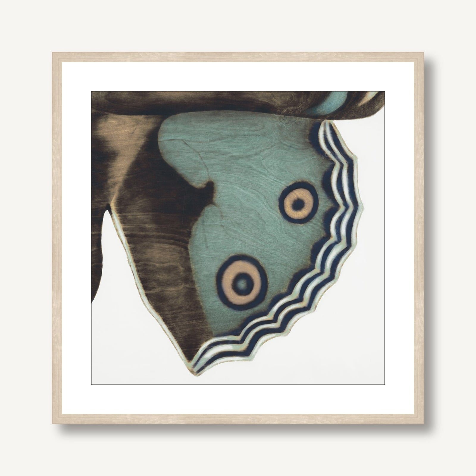 Metamorphosis in Motion 3 framed