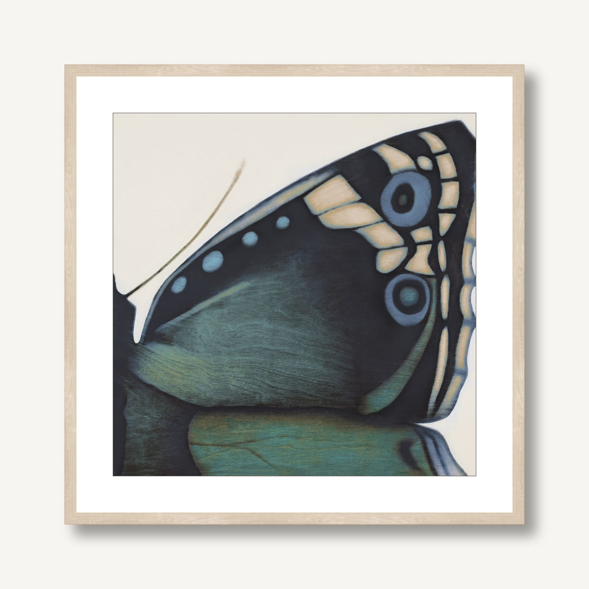 Metamorphosis in Motion 4 framed