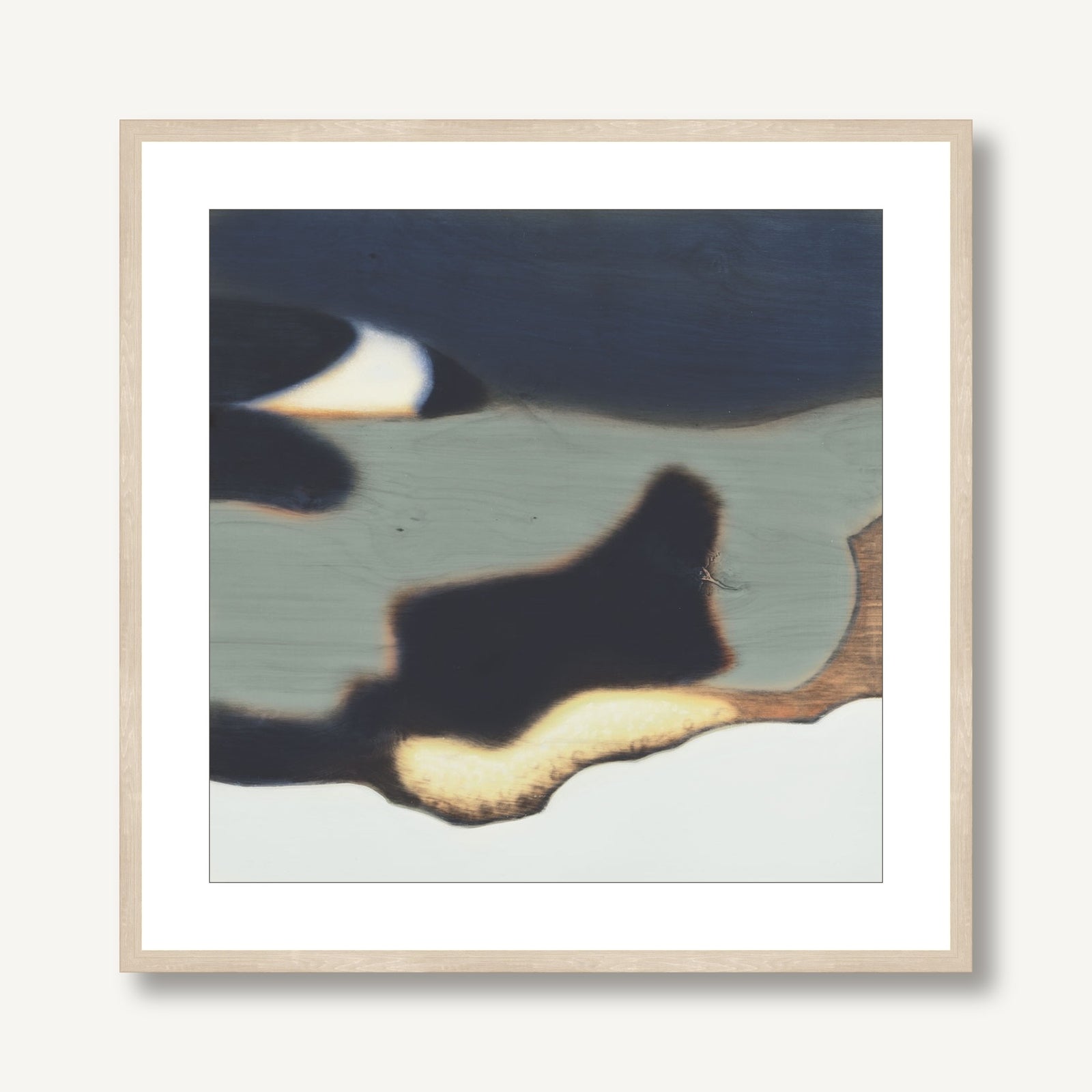 Metamorphosis in Motion 5 framed