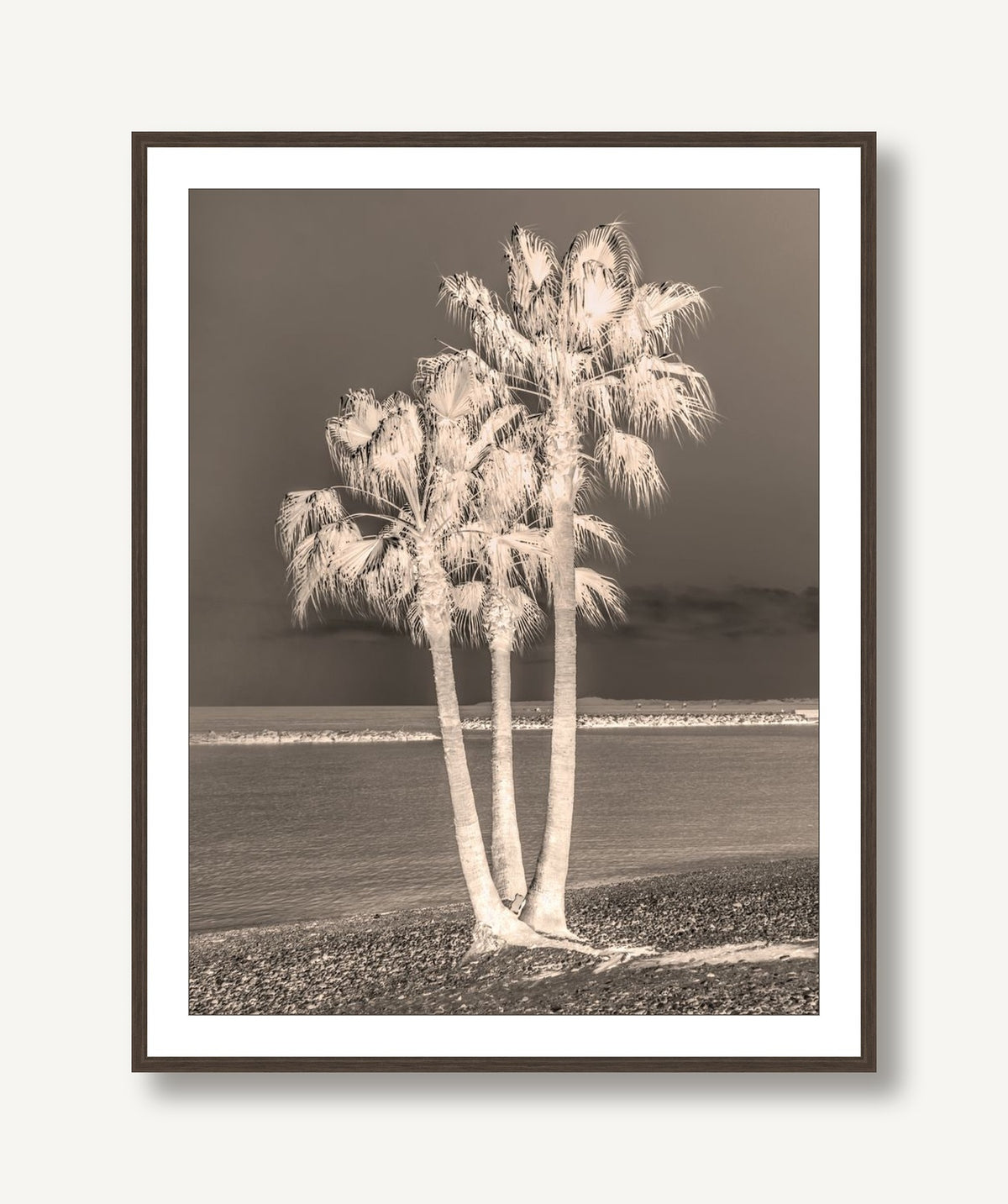 Palms 1 framed
