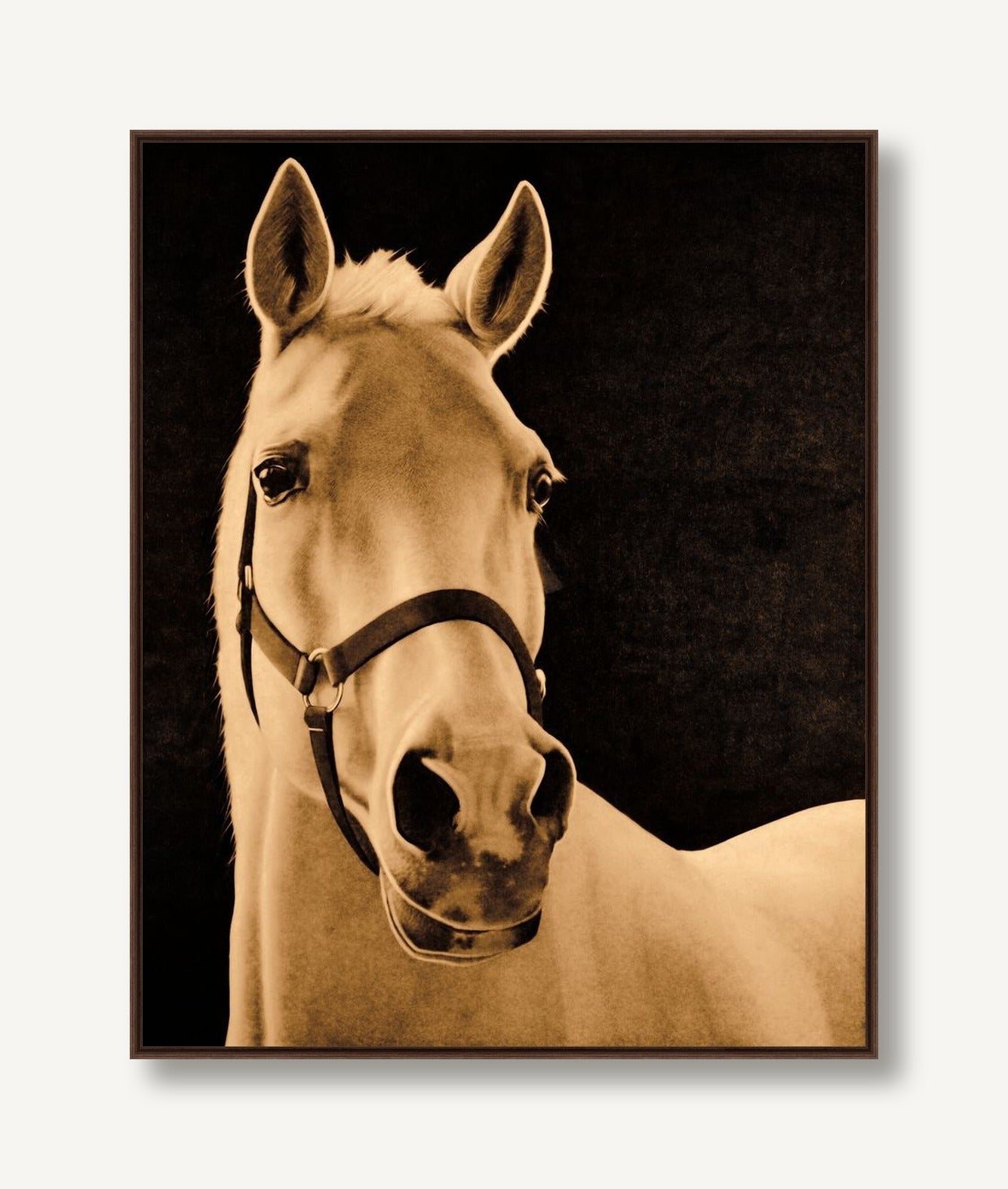 Stud 2 framed