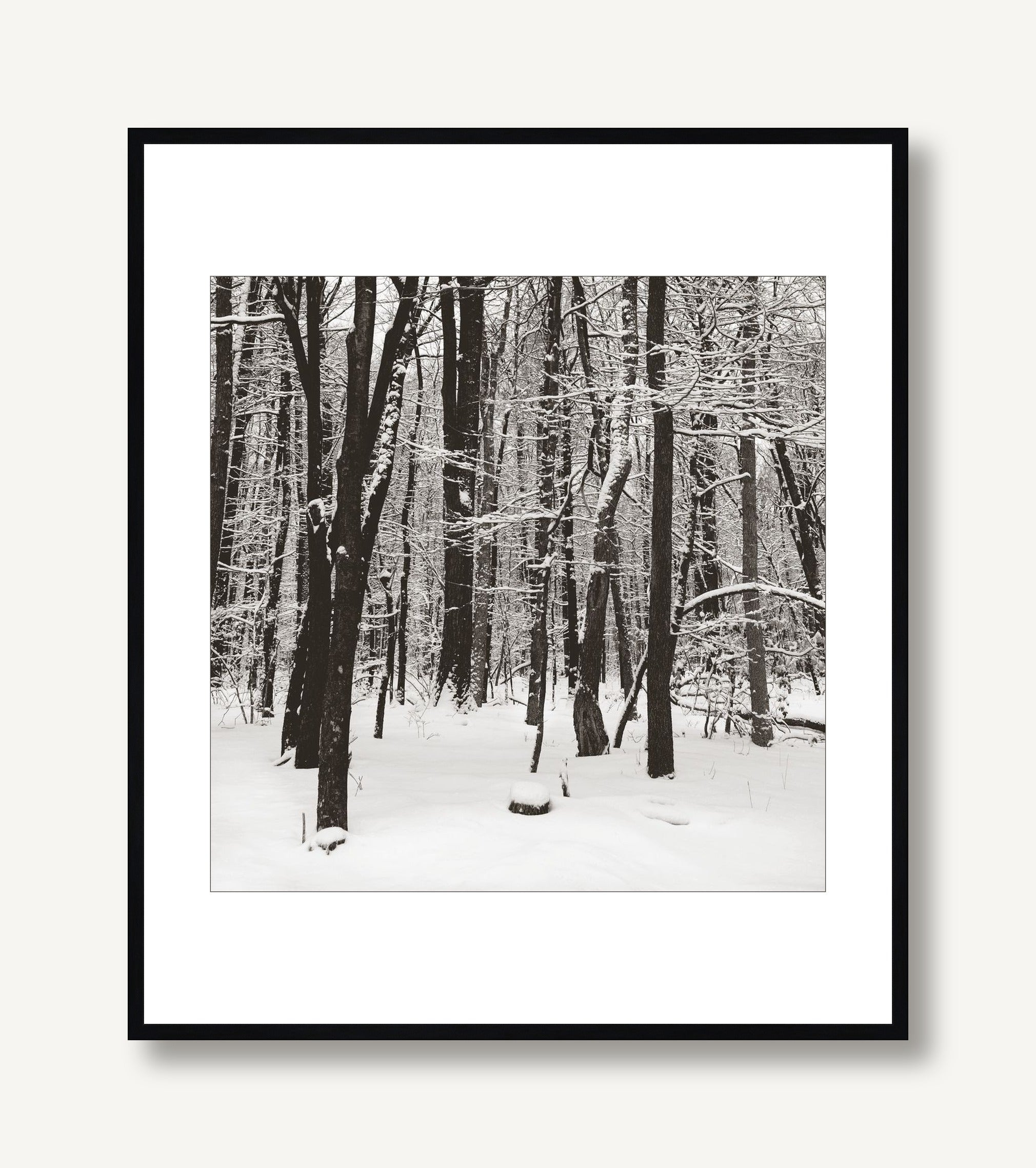 Snowscape 5 framed
