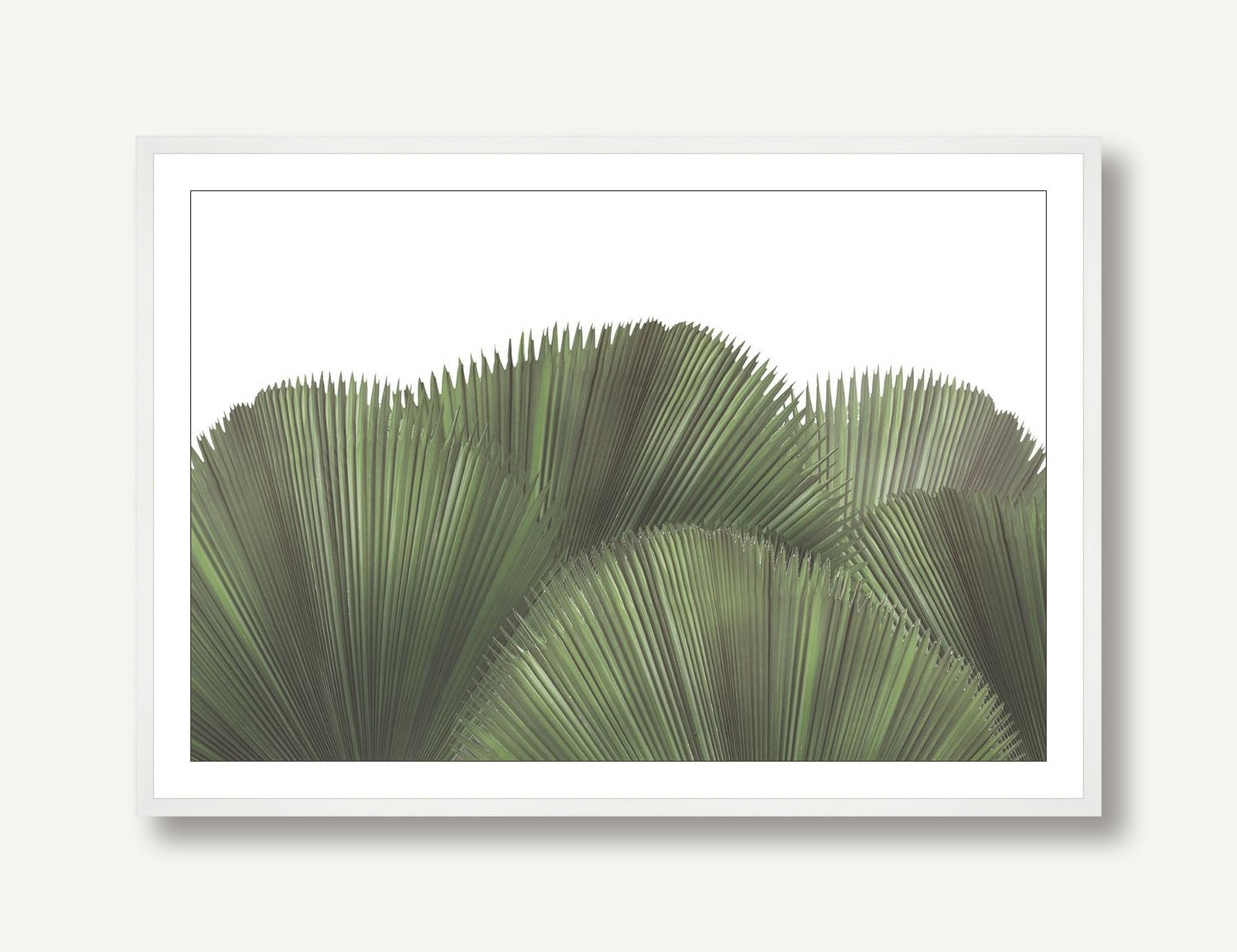 Tropical Leaves 3 framed