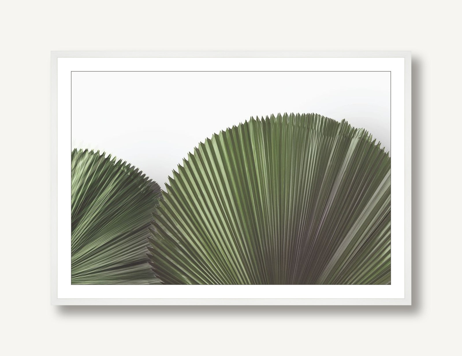 Tropical Leaves 4 framed