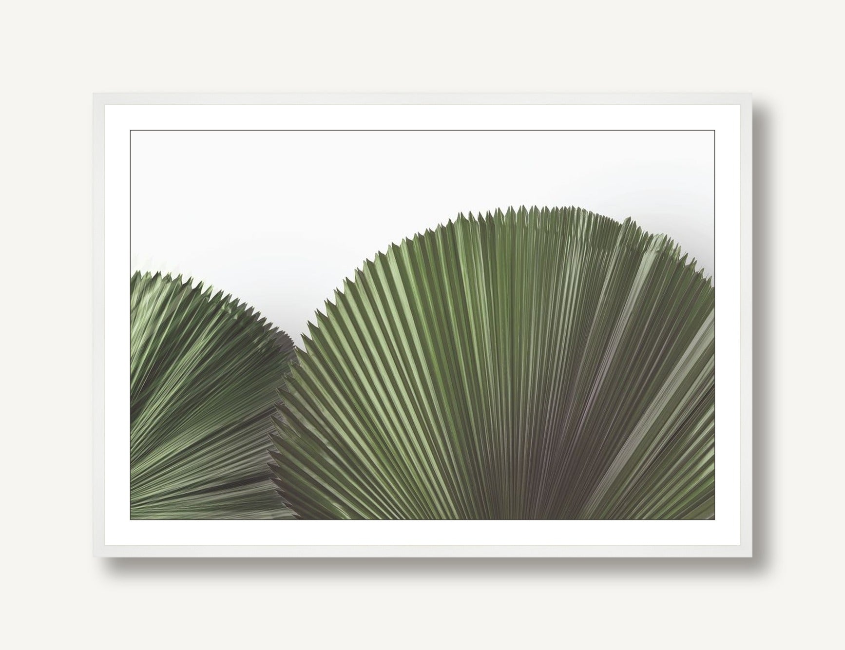 Tropical Leaves 4 framed