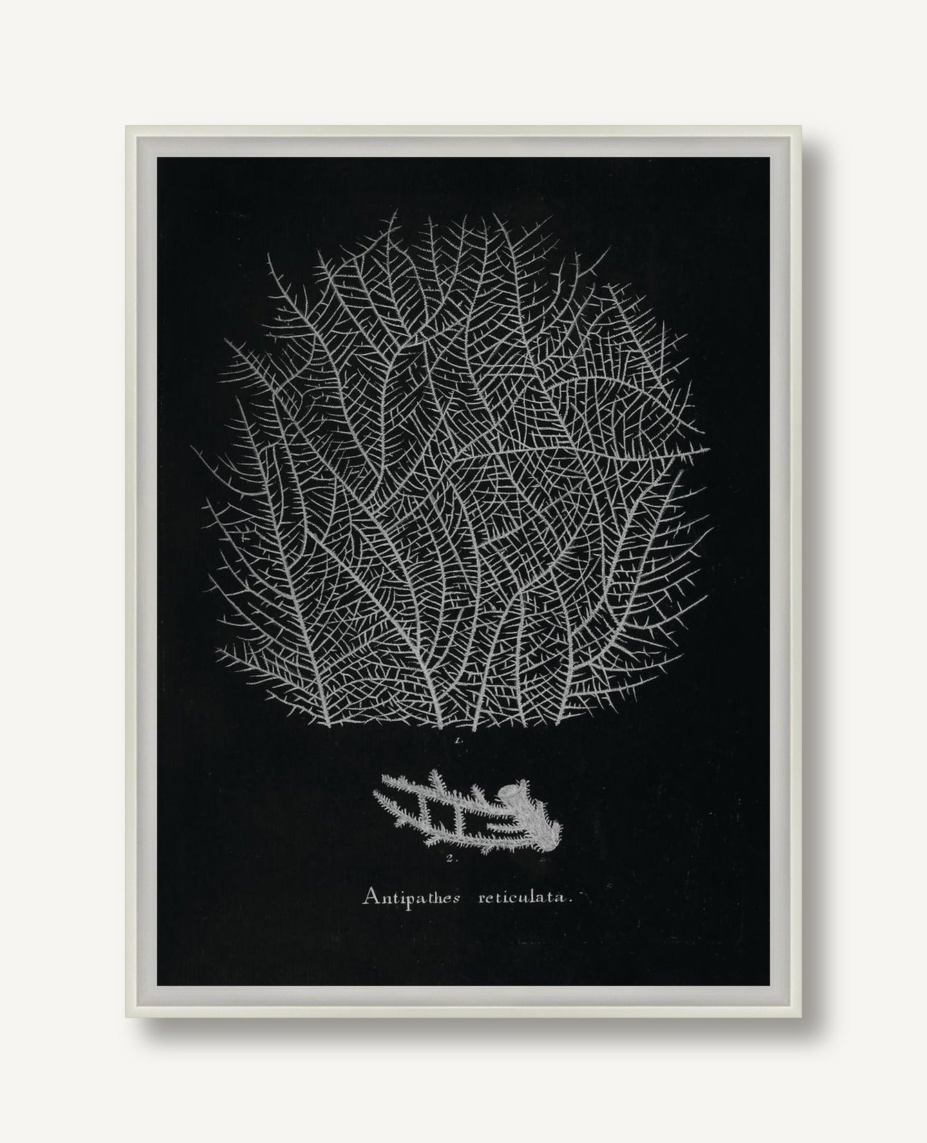 Briny Deep 1 framed