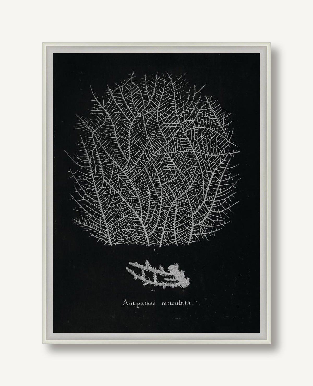 Briny Deep 1 framed