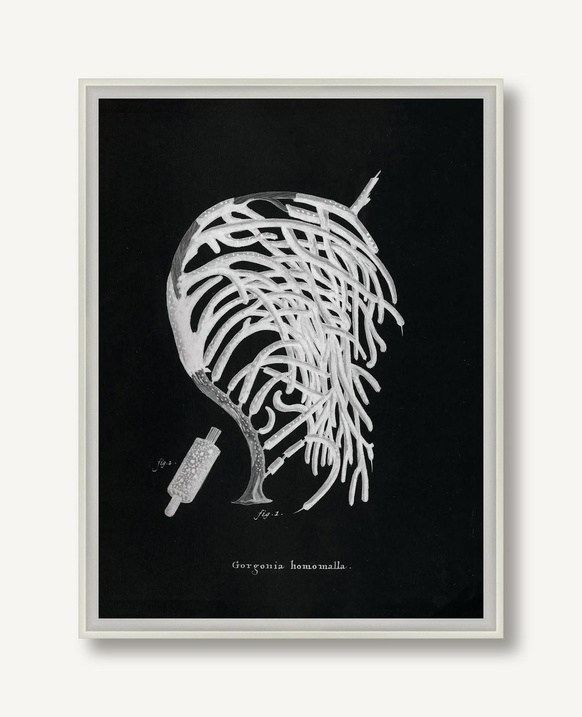 Briny Deep 2 framed