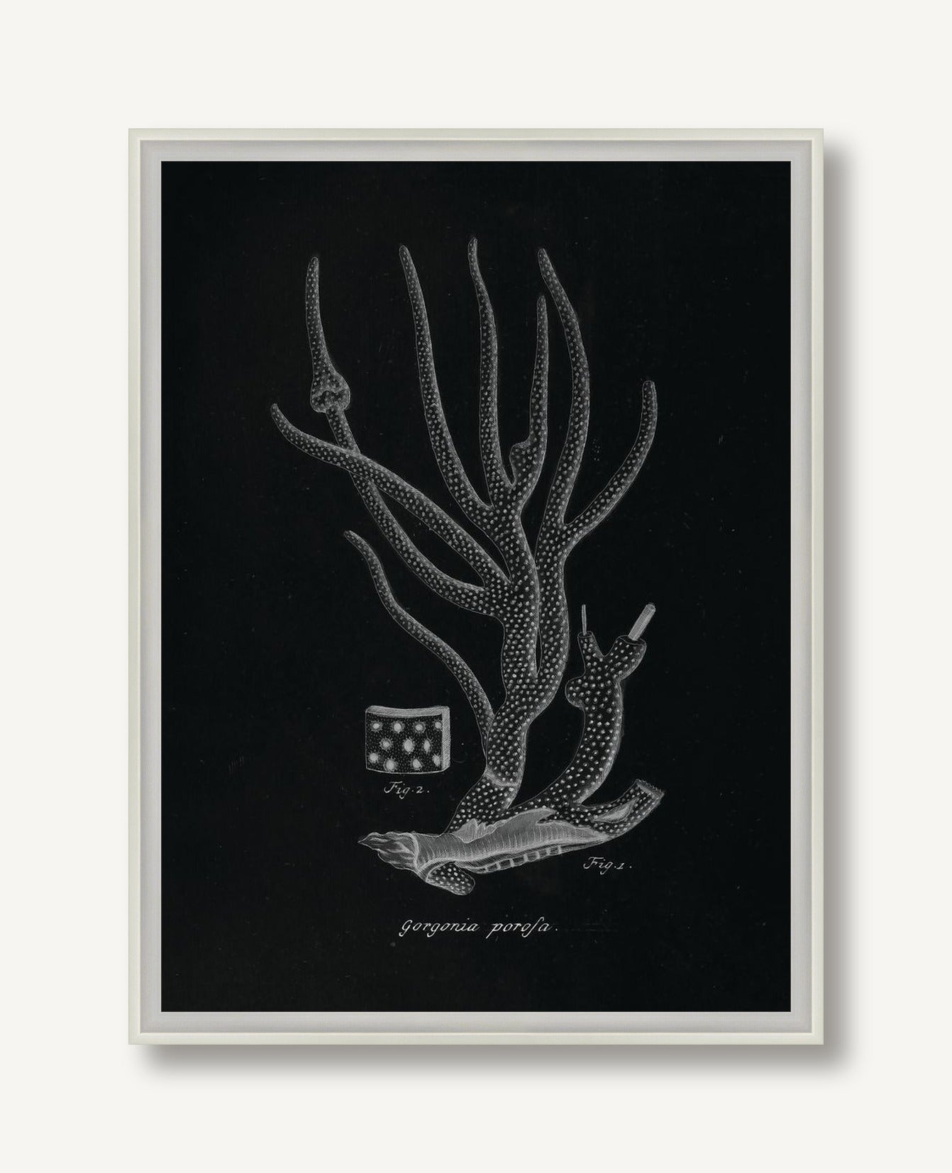 Briny Deep 3 framed
