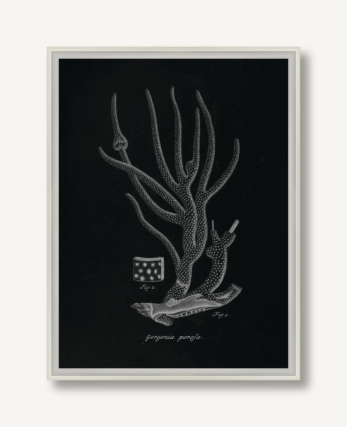 Briny Deep 3 framed