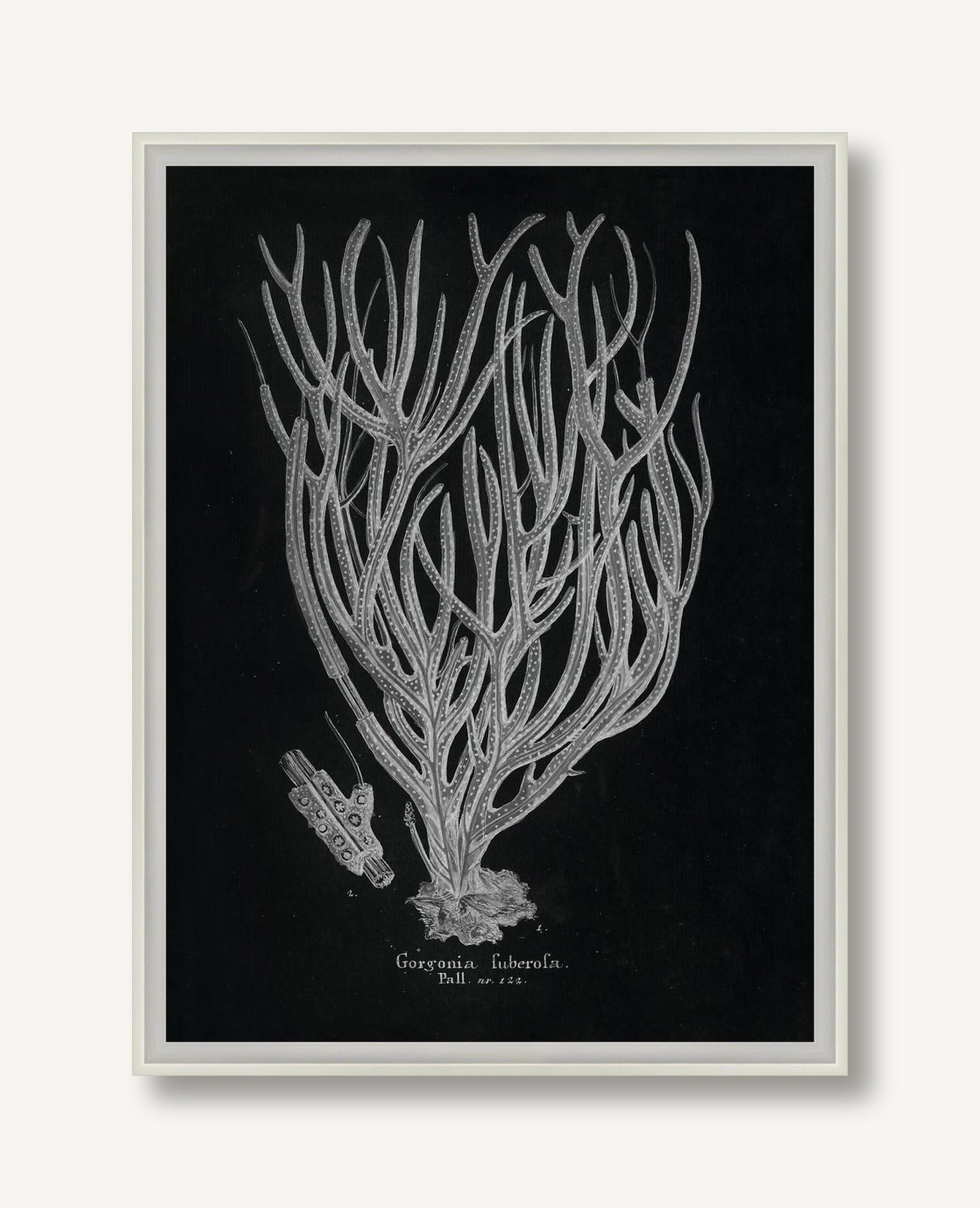 Briny Deep 4 framed