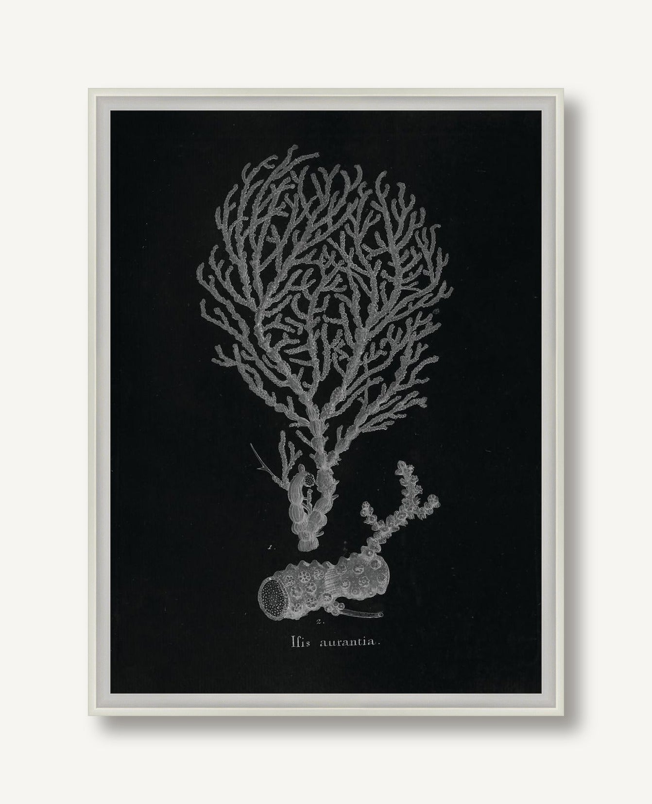 Briny Deep 5 framed
