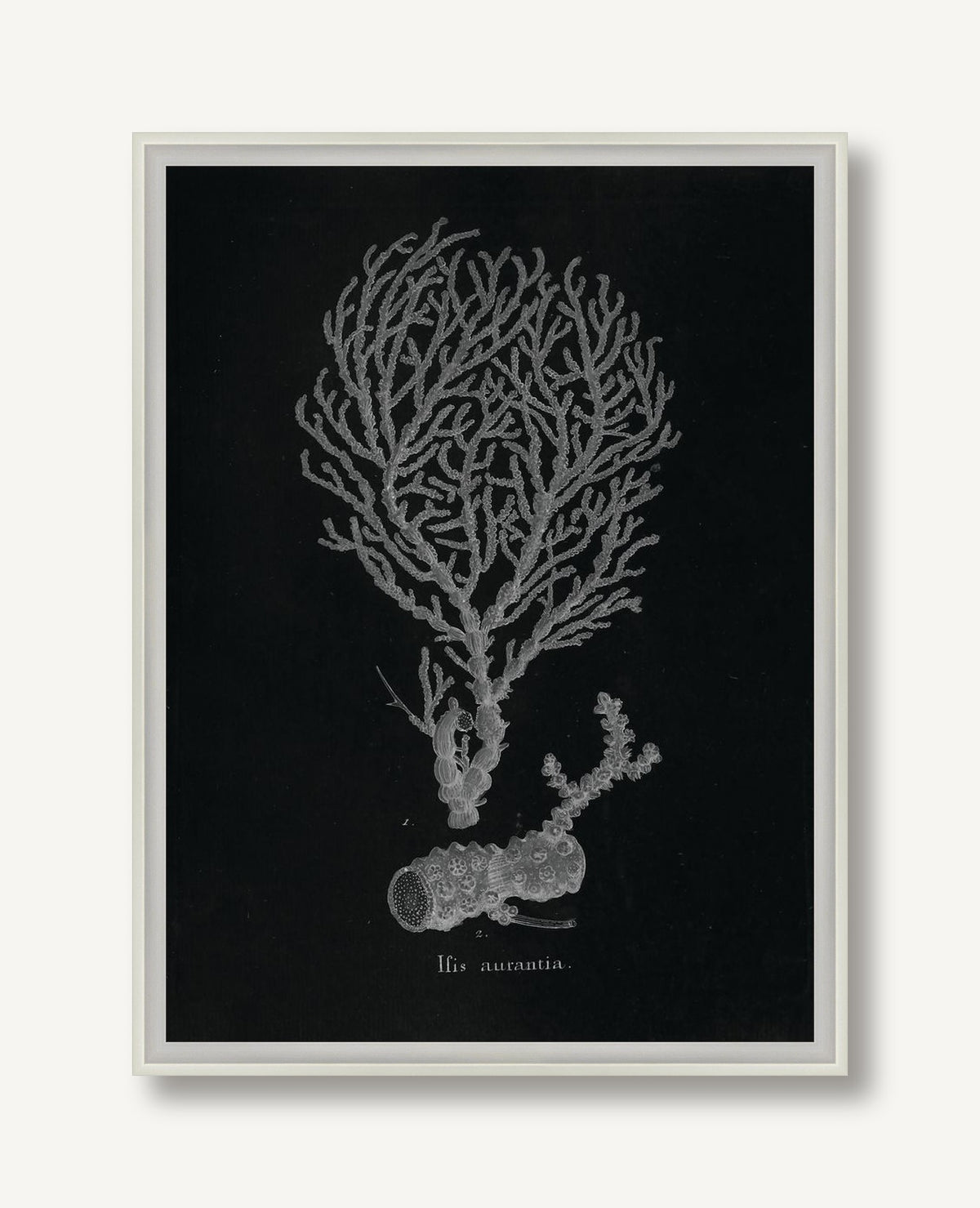 Briny Deep 5 framed