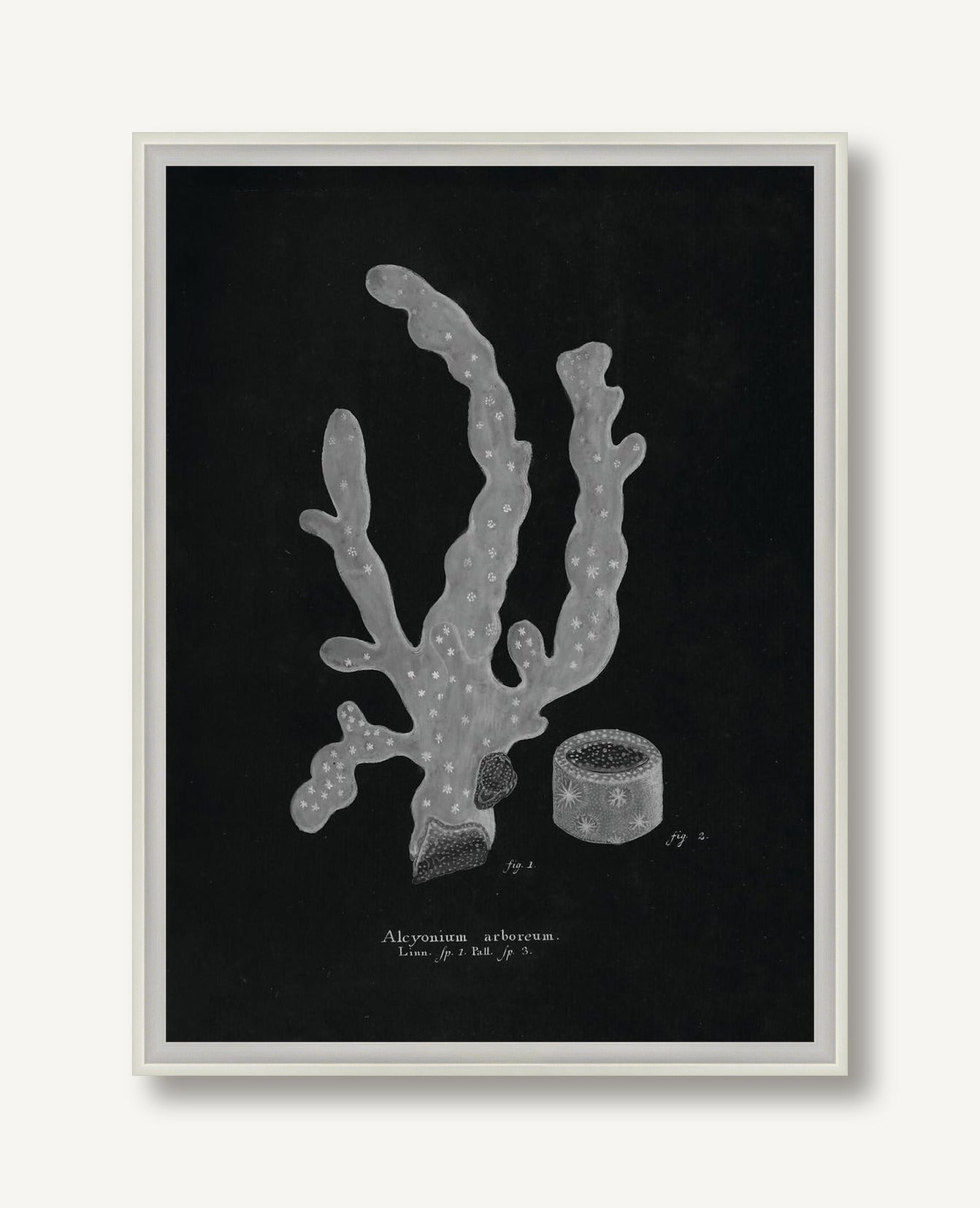 Briny Deep 6 framed