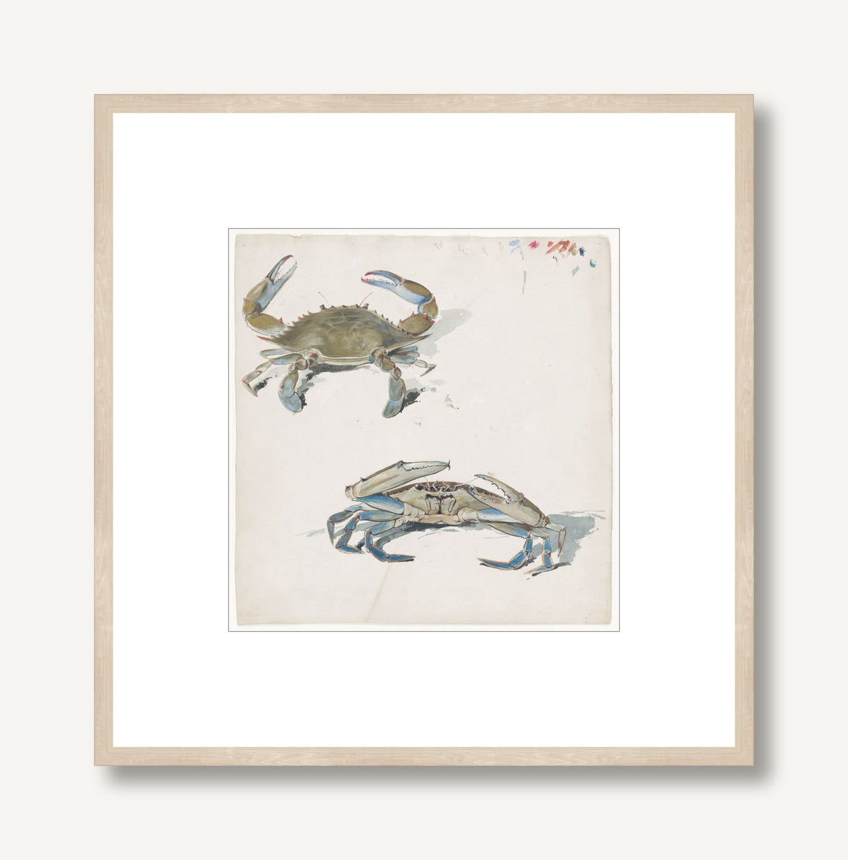 Blue Crab Shuffle 1 framed