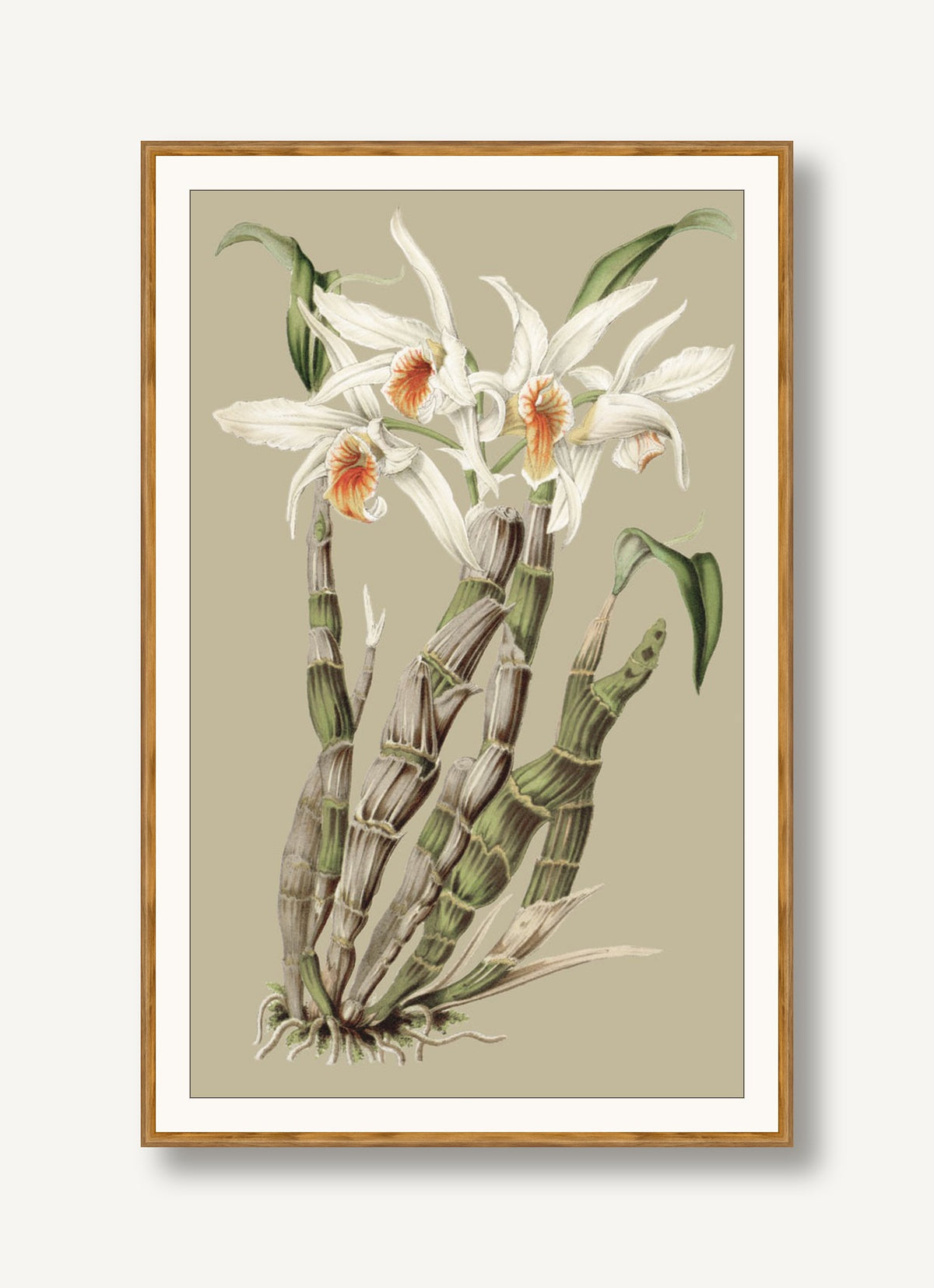 Botanical Jungle 1 framed