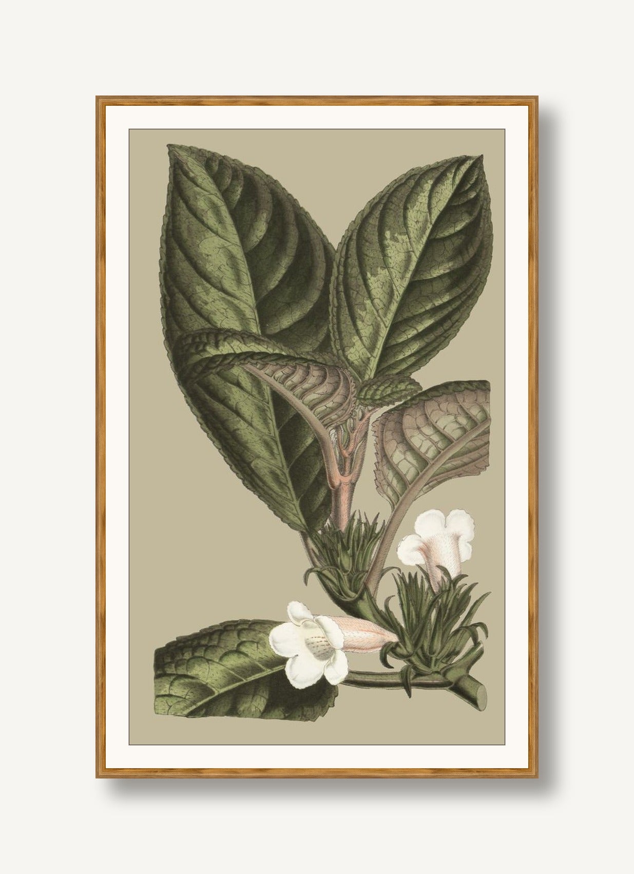 Botanical Jungle 3 framed
