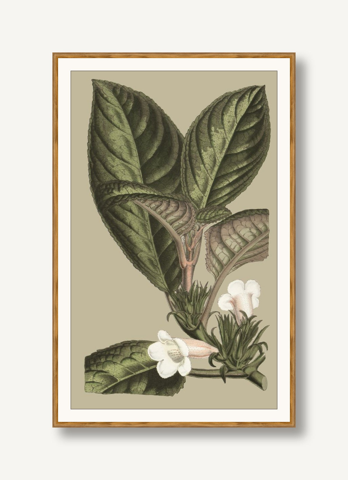 Botanical Jungle 3 framed
