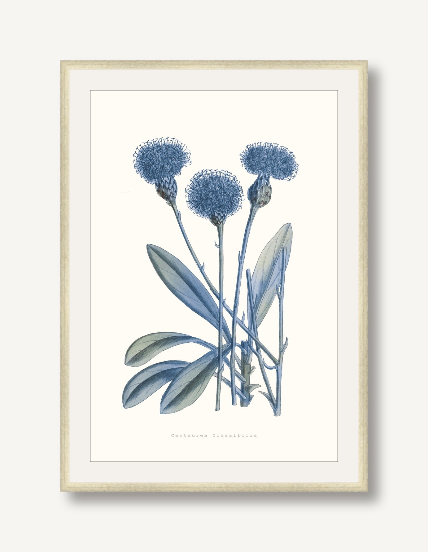 Bouquet Blue 1 framed