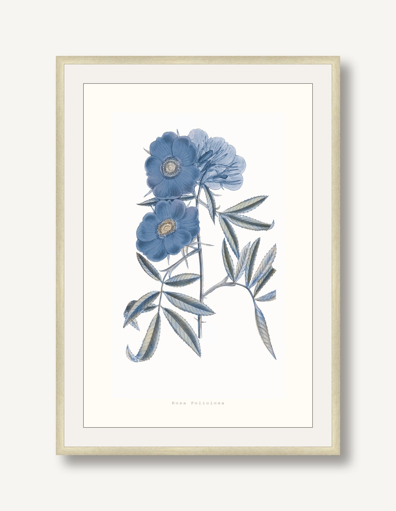 Bouquet Blue 2 framed