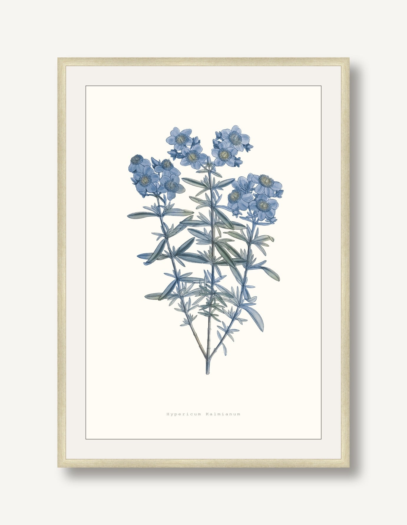 Bouquet Blue 3 framed