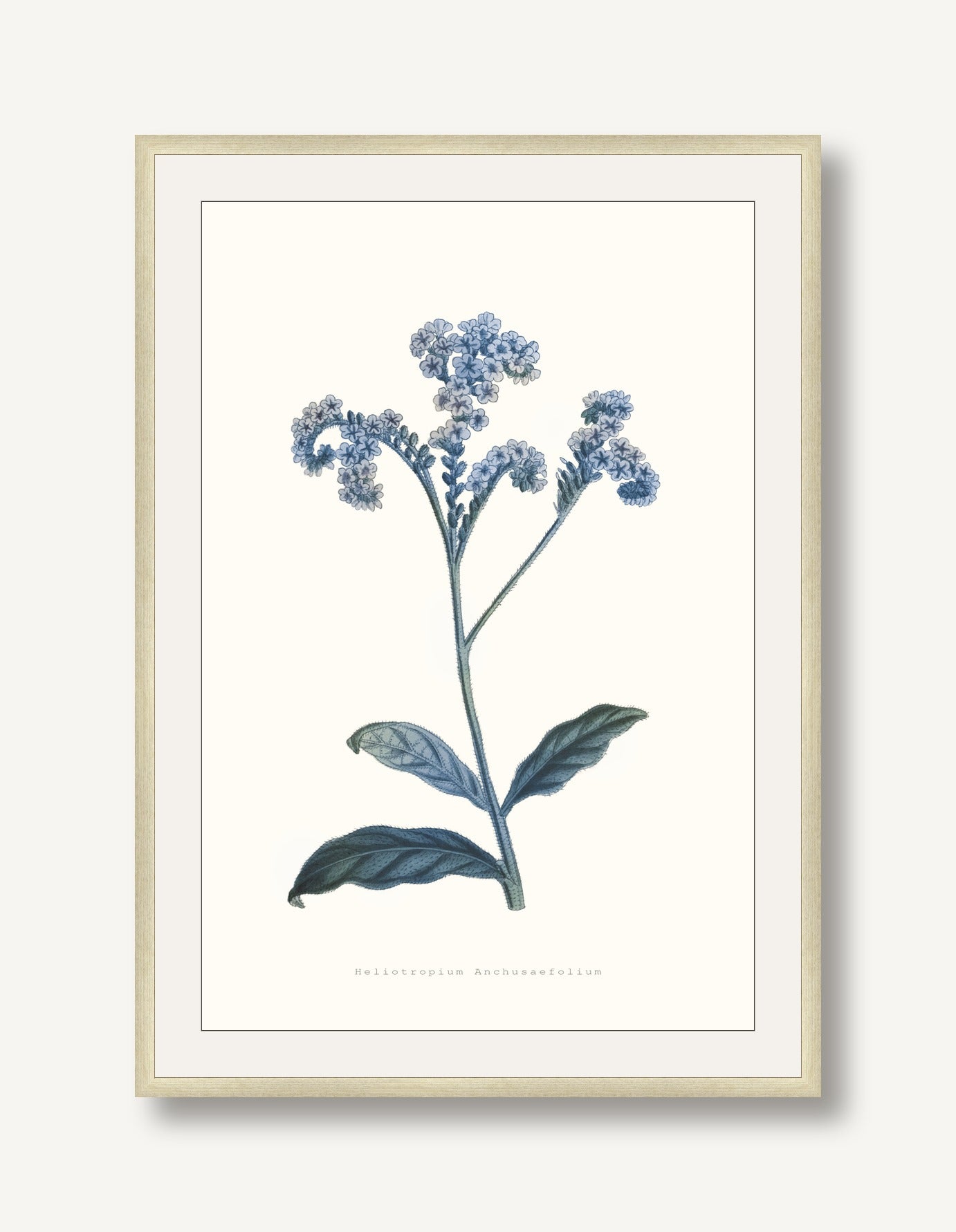 Bouquet Blue 4 framed
