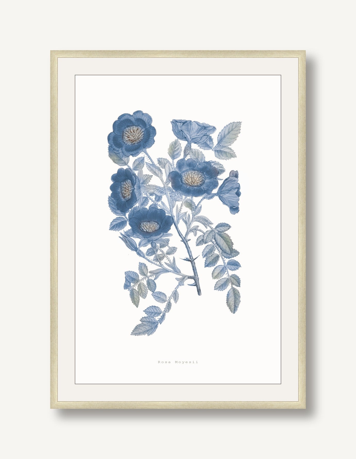 Bouquet Blue 5 framed