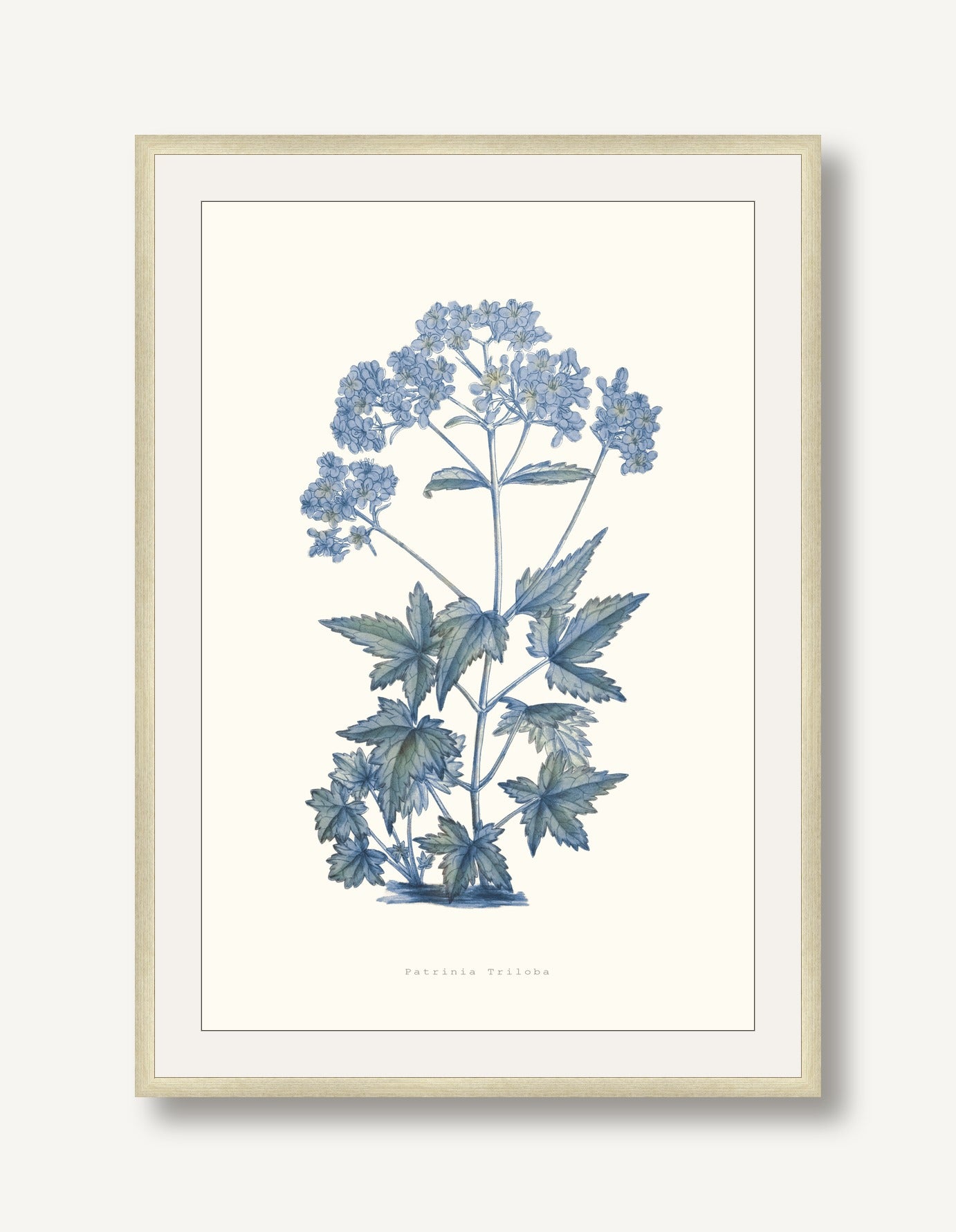 Bouquet Blue 6 framed
