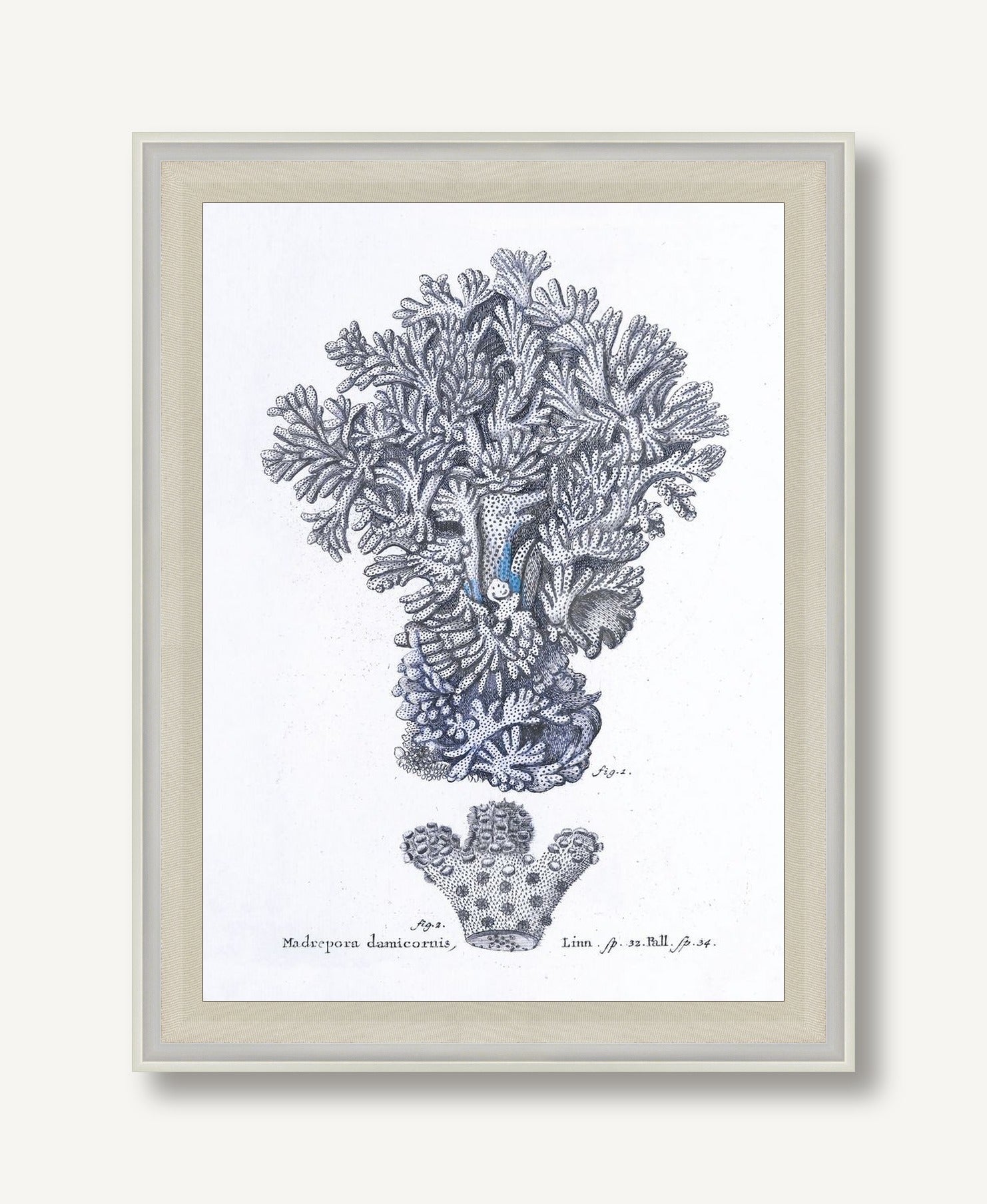 Cultivated Antiquity 2 framed