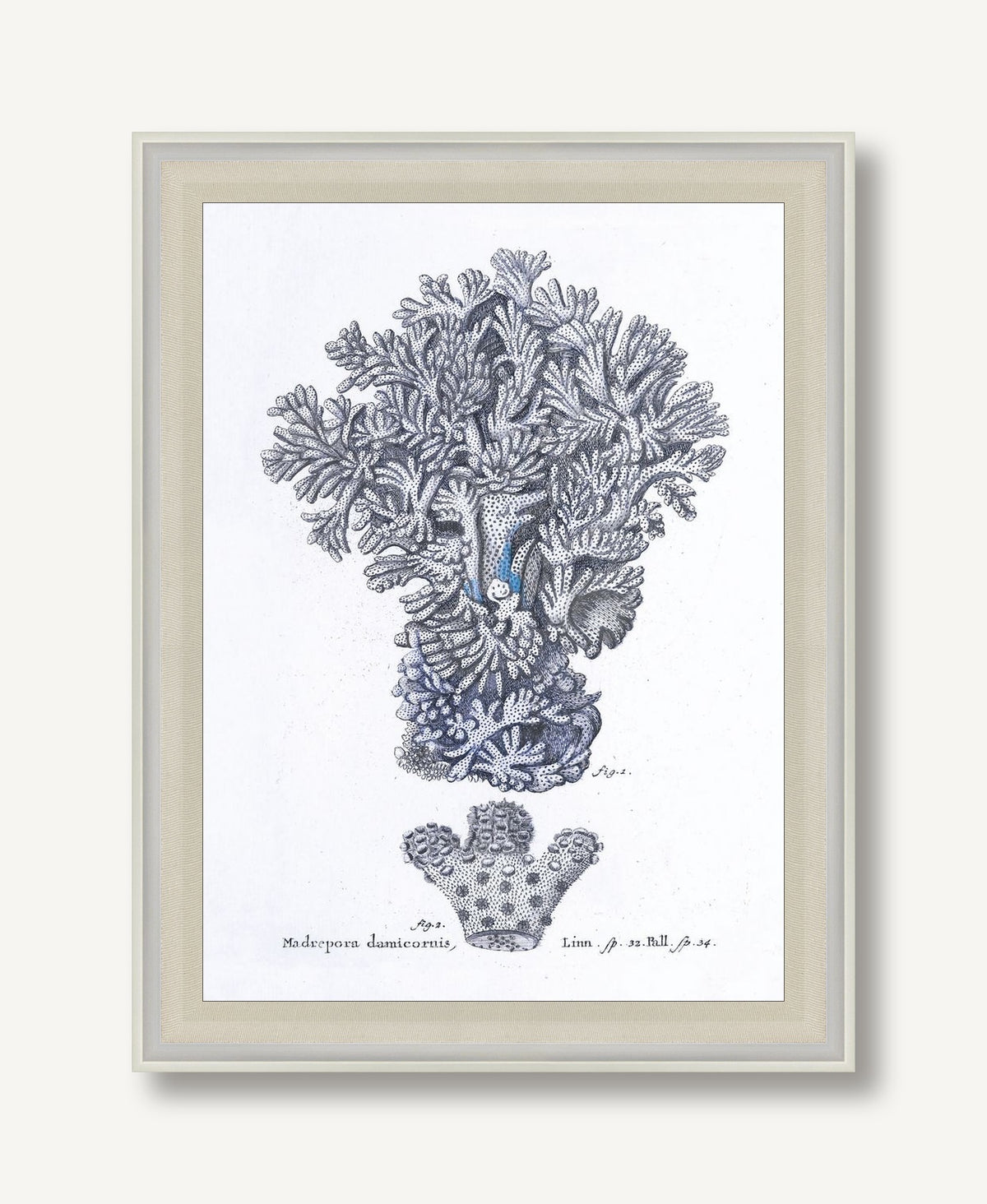 Cultivated Antiquity 2 framed