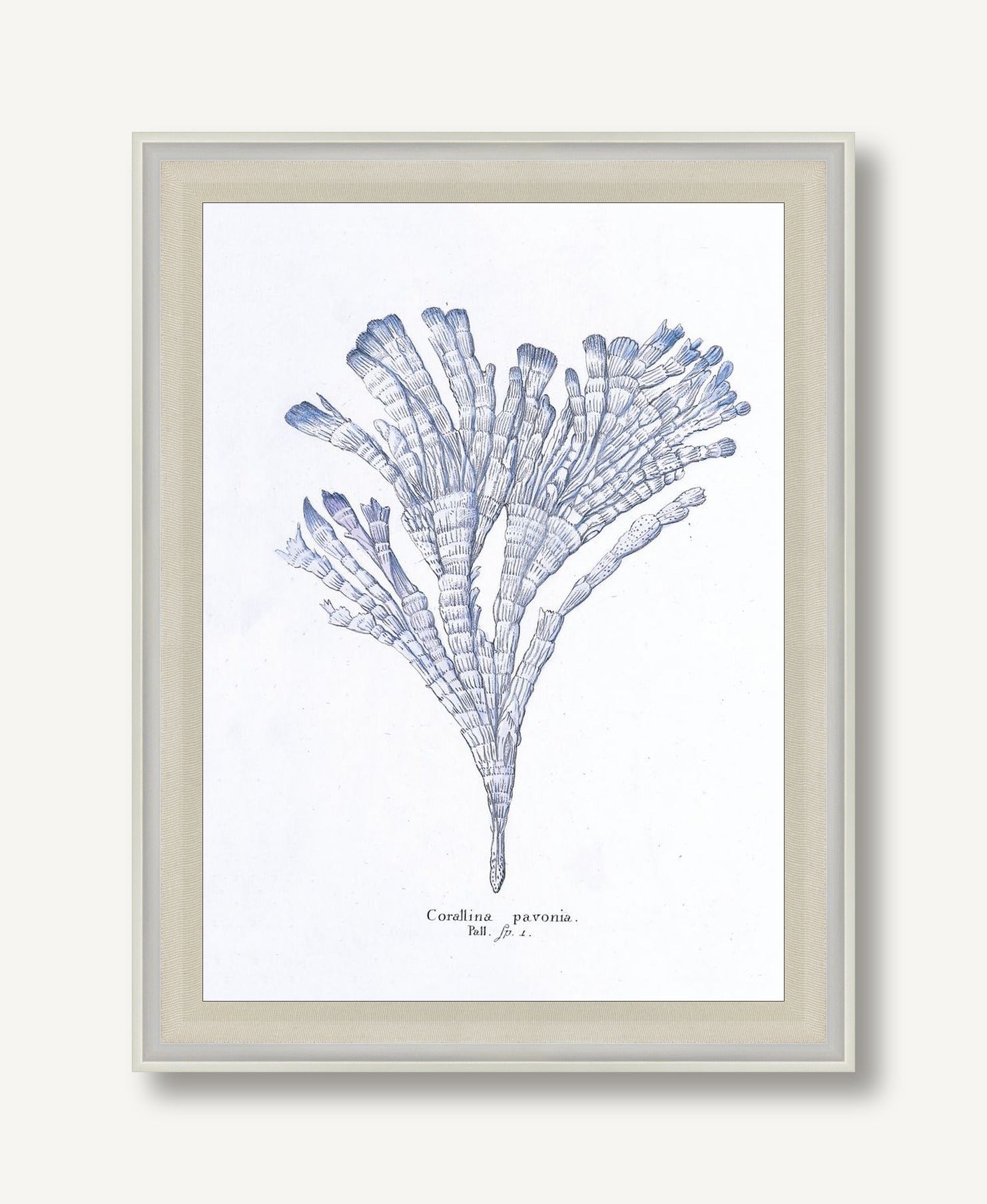 Cultivated Antiquity 3 framed