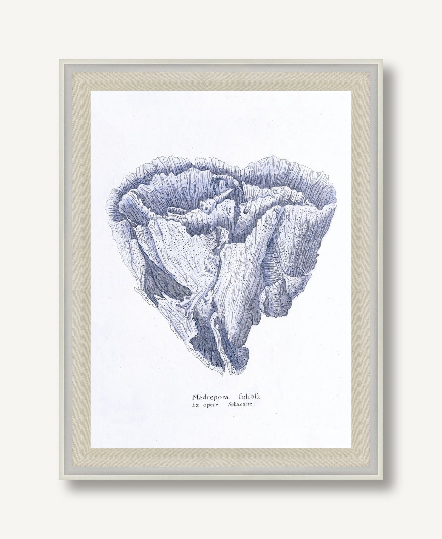 Cultivated Antiquity 4 framed