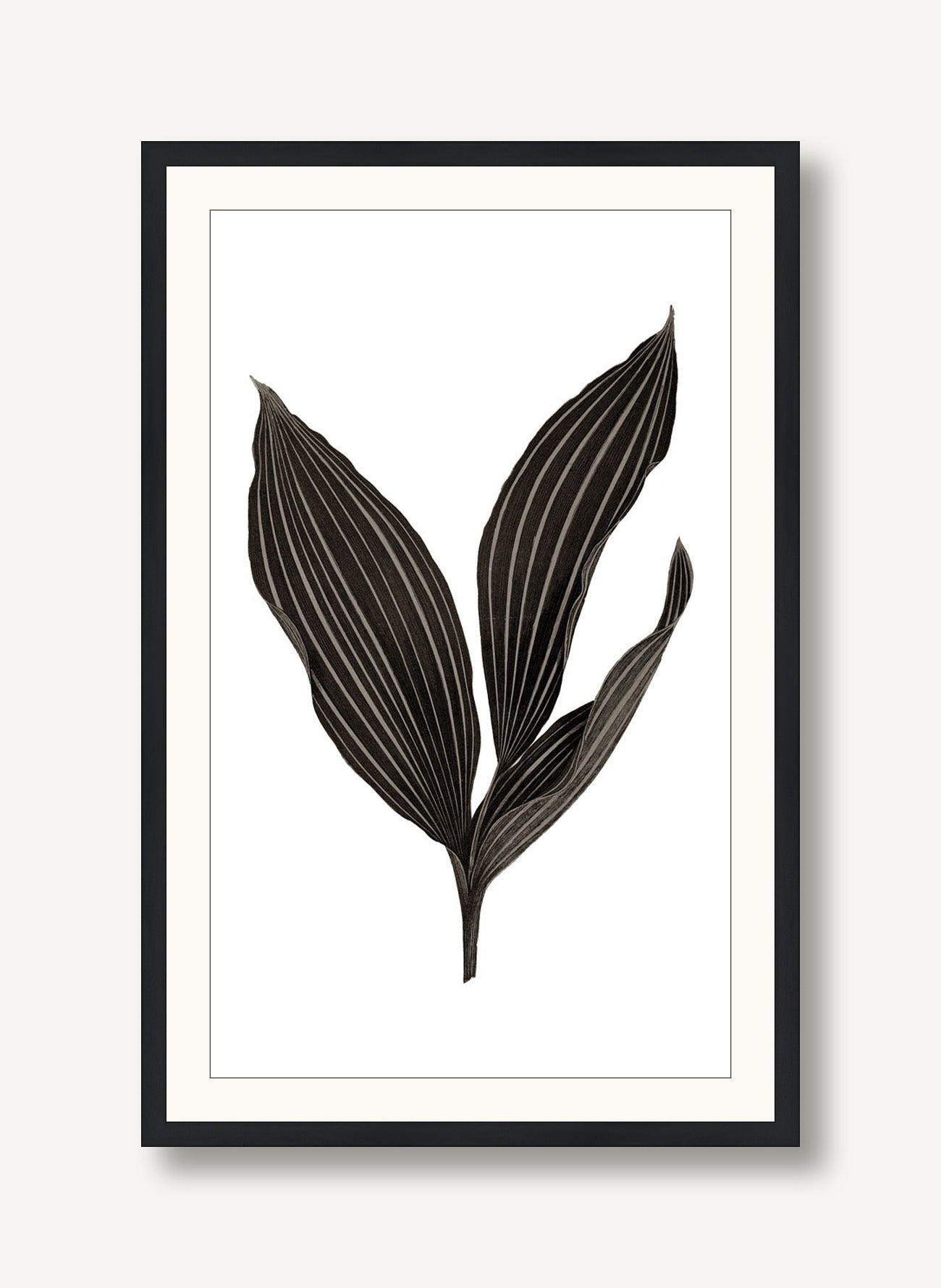 Daily Wish Black 1 framed