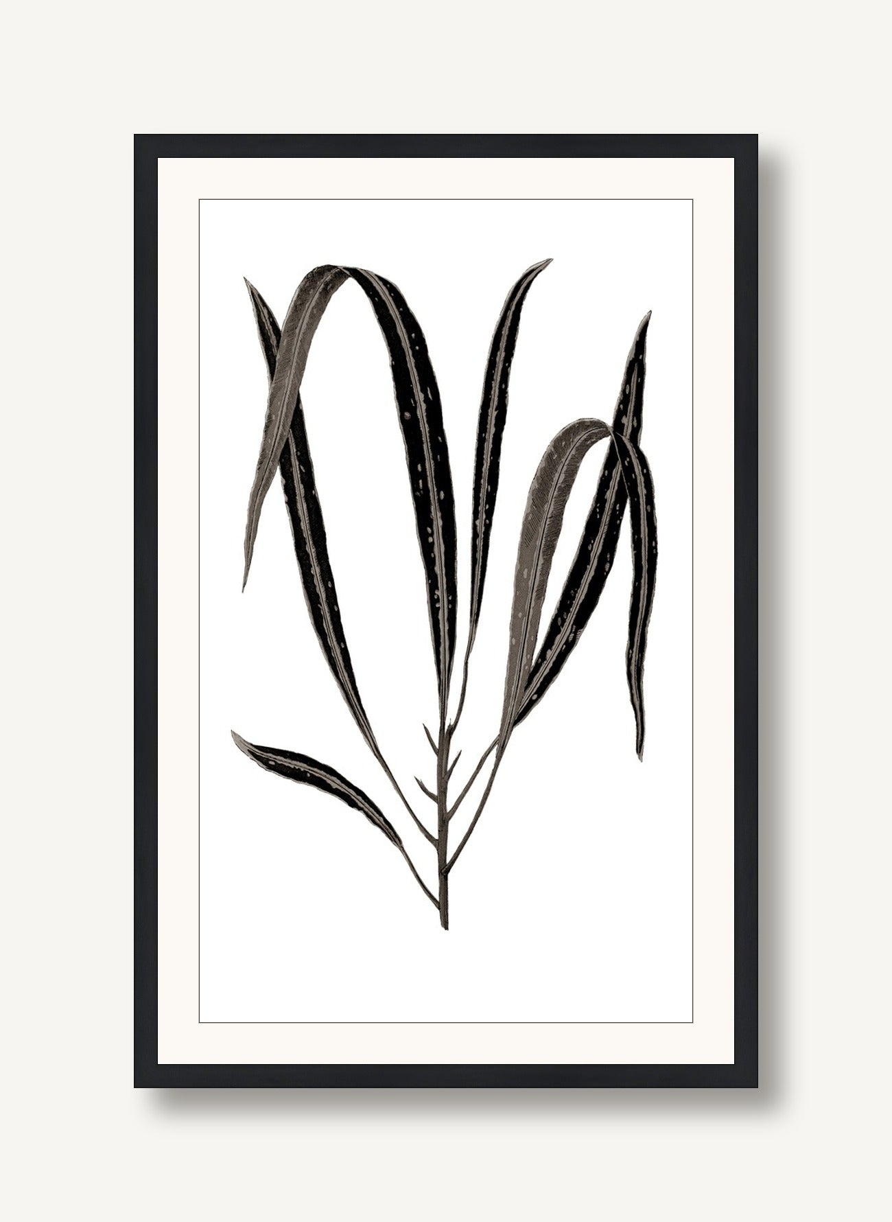 Daily Wish Black 3 framed