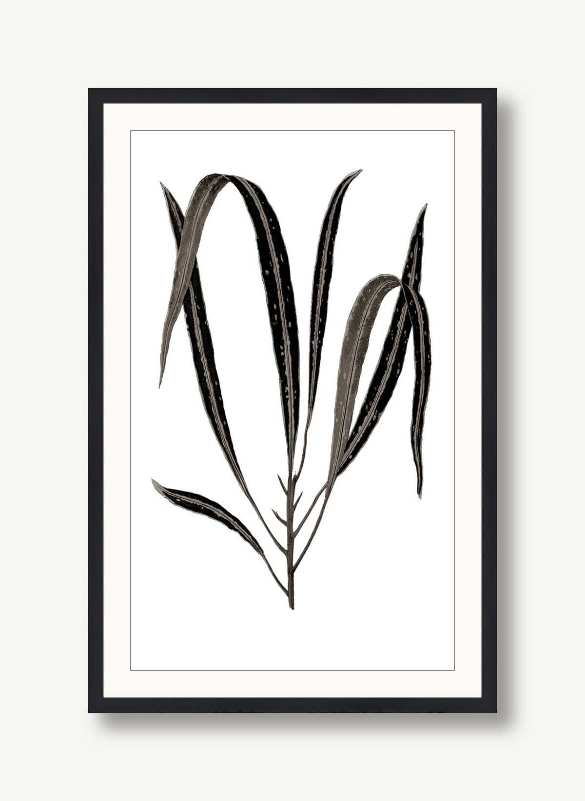 Daily Wish Black 3 framed