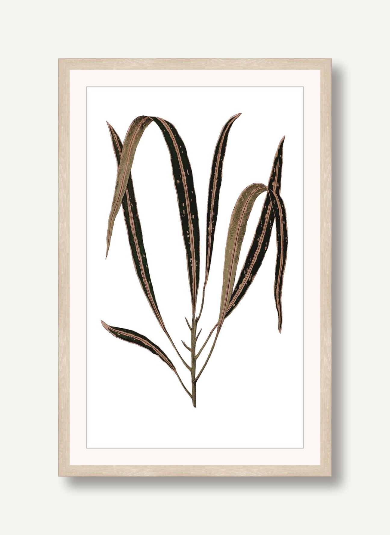 Daily Wish Brown 3 framed