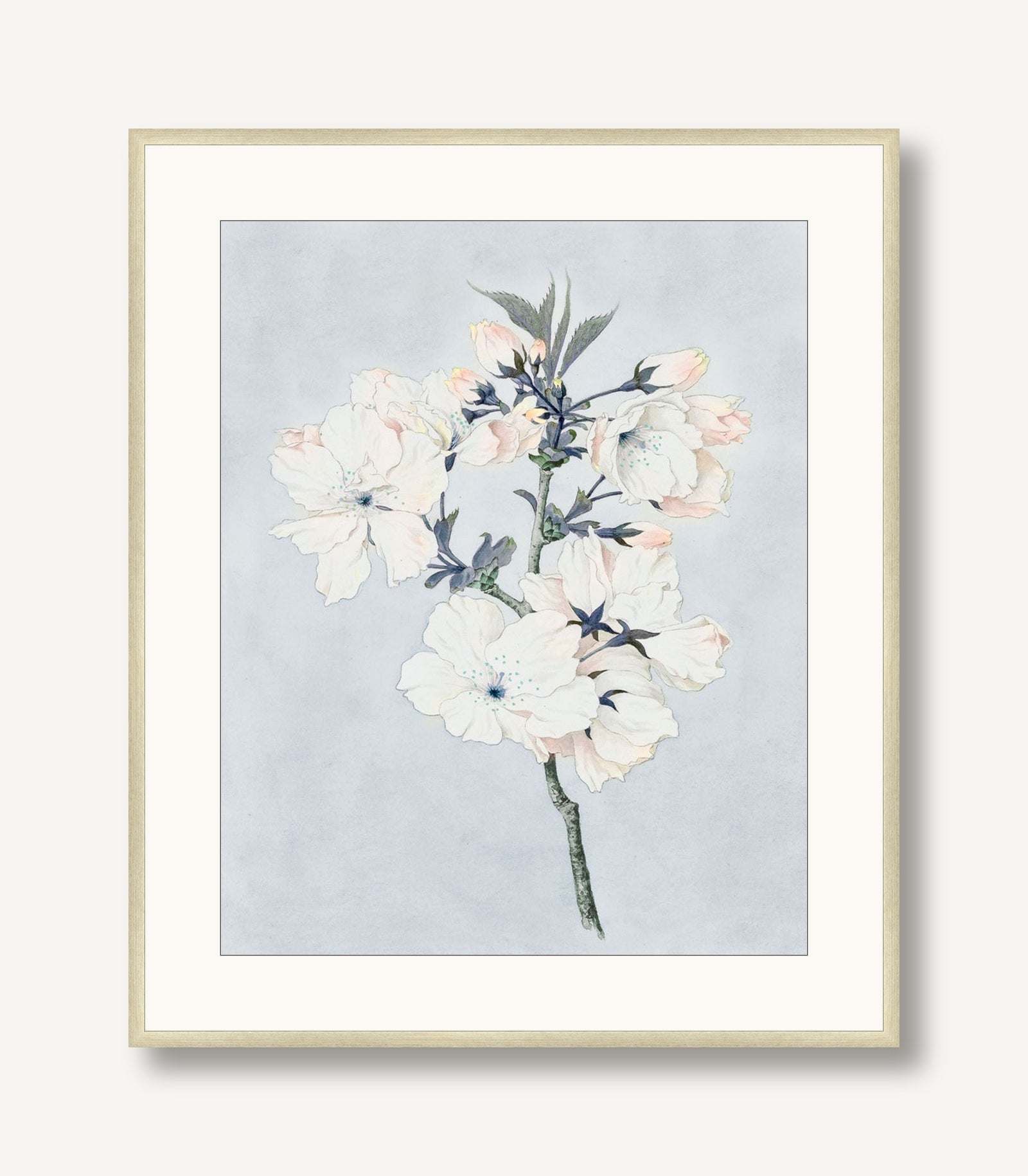 Delicate Flower Branch 1 framed