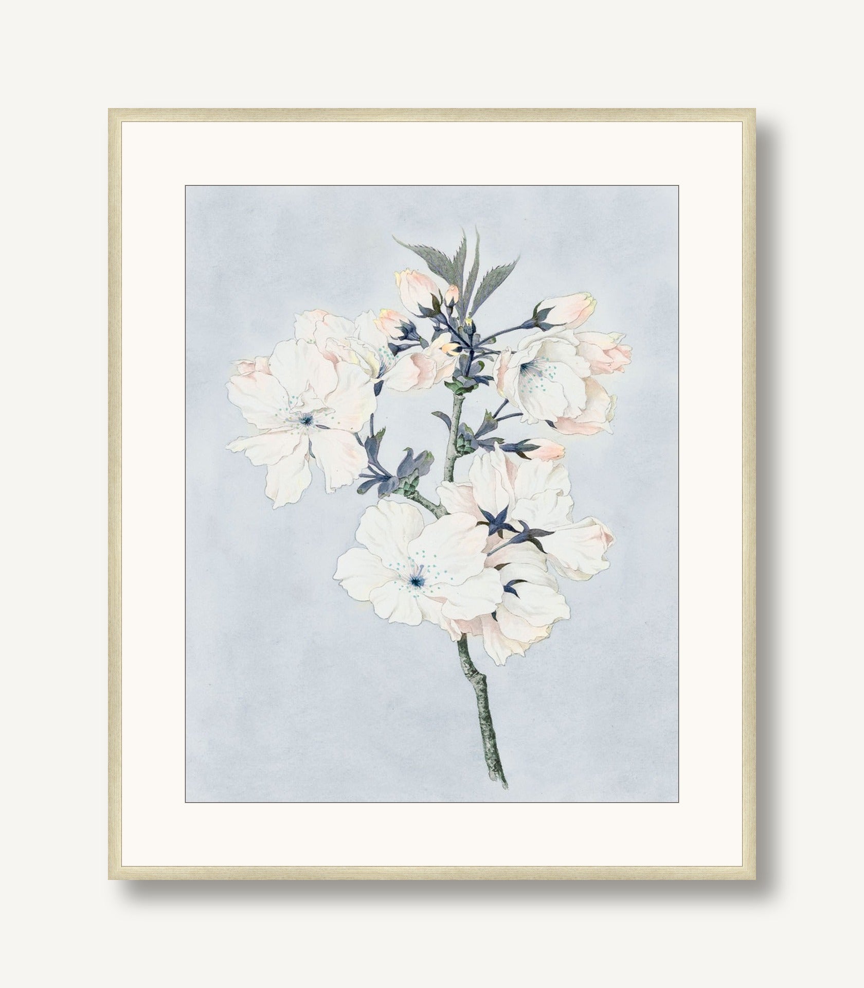 Delicate Flower Branch 1 framed