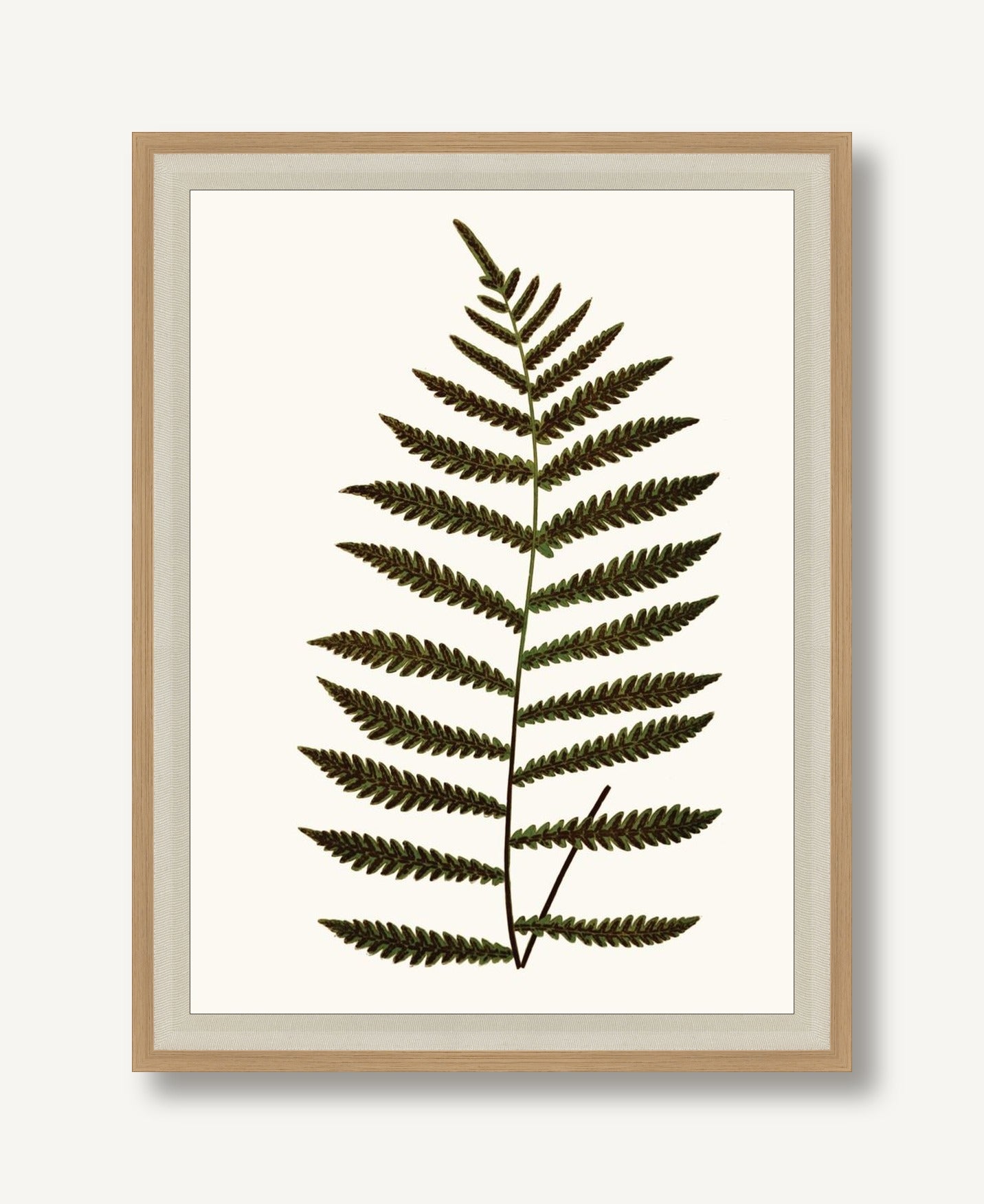 Elevated Undergrowth 5 framed
